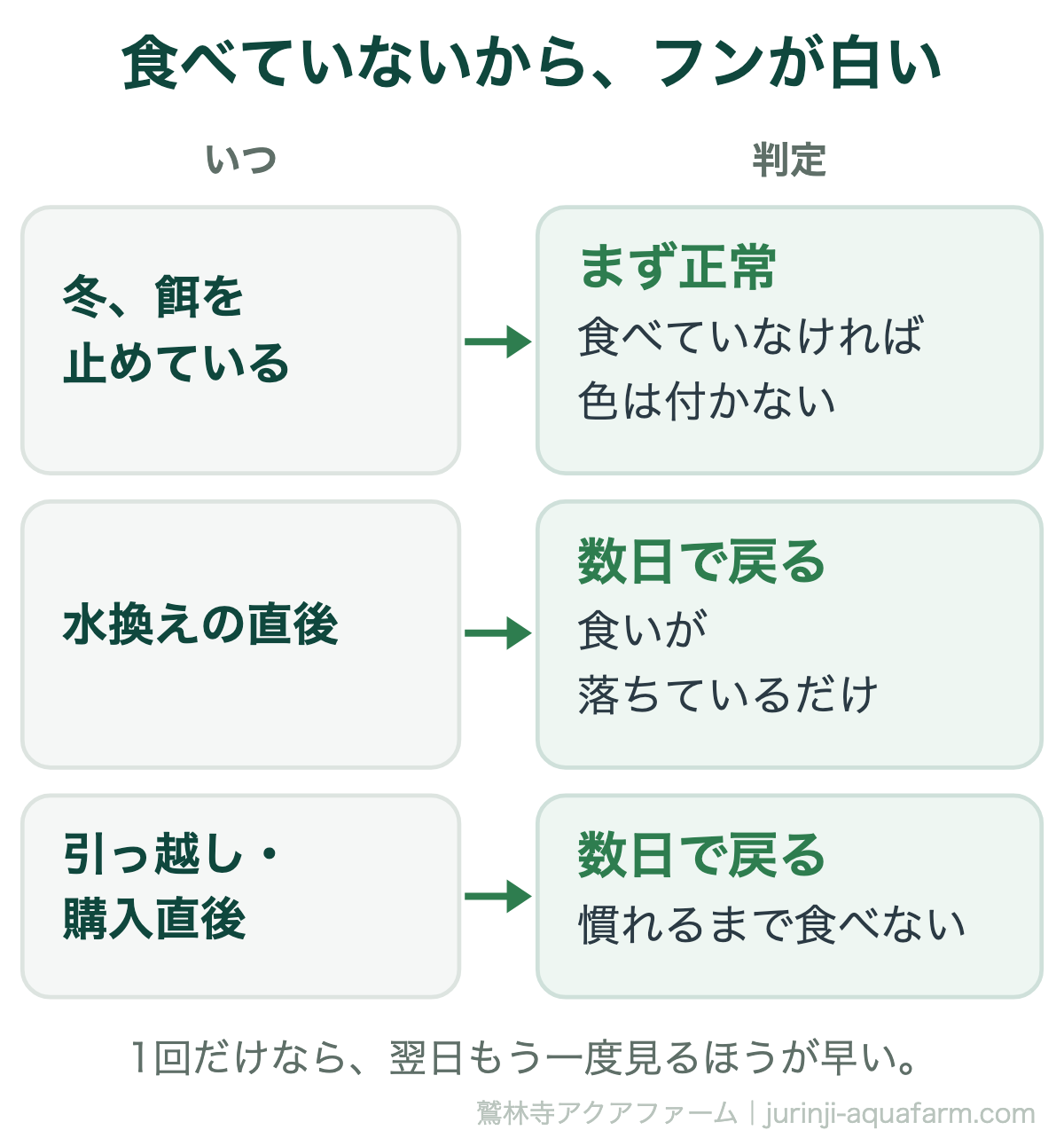 メダカが餌を食べていないから白いフンをするときの図。冬に餌を止めているならまず正常。水換えの直後や引っ越し・購入直後なら食いが落ちているだけで数日で戻る