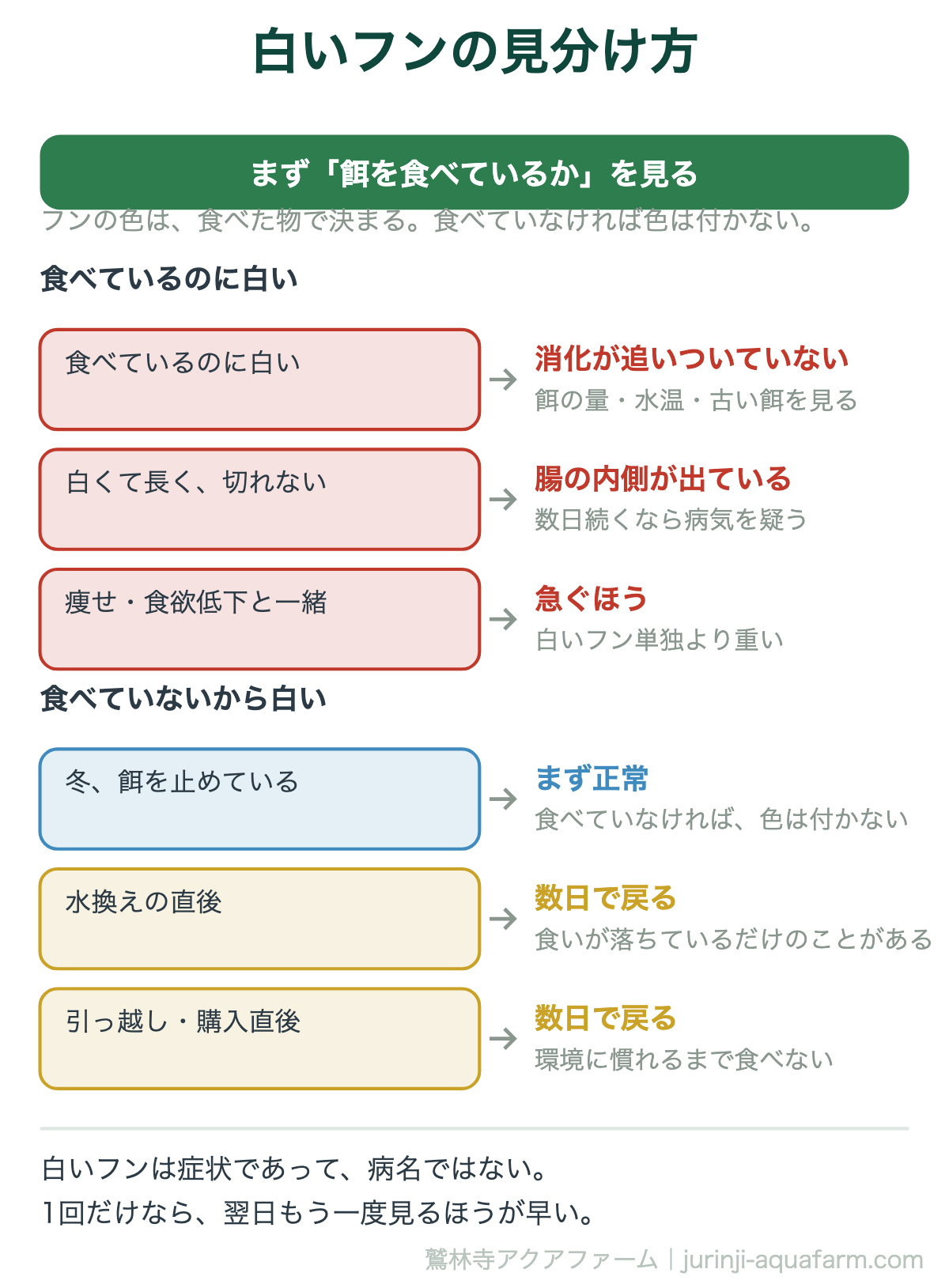 メダカの白いフンの見分け方の図。まず餌を食べているかを見る。食べているのに白い場合は消化が追いついていない、白くて長く切れない、痩せや食欲低下と一緒。食べていないから白い場合は冬に餌を止めている、水換えの直後、購入や引っ越しの直後