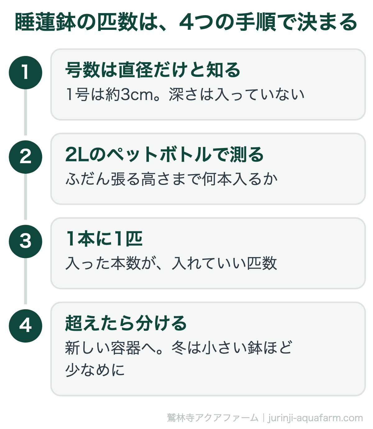 睡蓮鉢のメダカの匹数を決める4つの手順の図。1号数は直径だけで1号は約3cm、深さは入っていない。2の2リットルのペットボトルでふだん張る高さまで何本入るか測る。3入った本数が入れていい匹数。4超えたら新しい容器へ分け、冬は小さい鉢ほど少なめにする