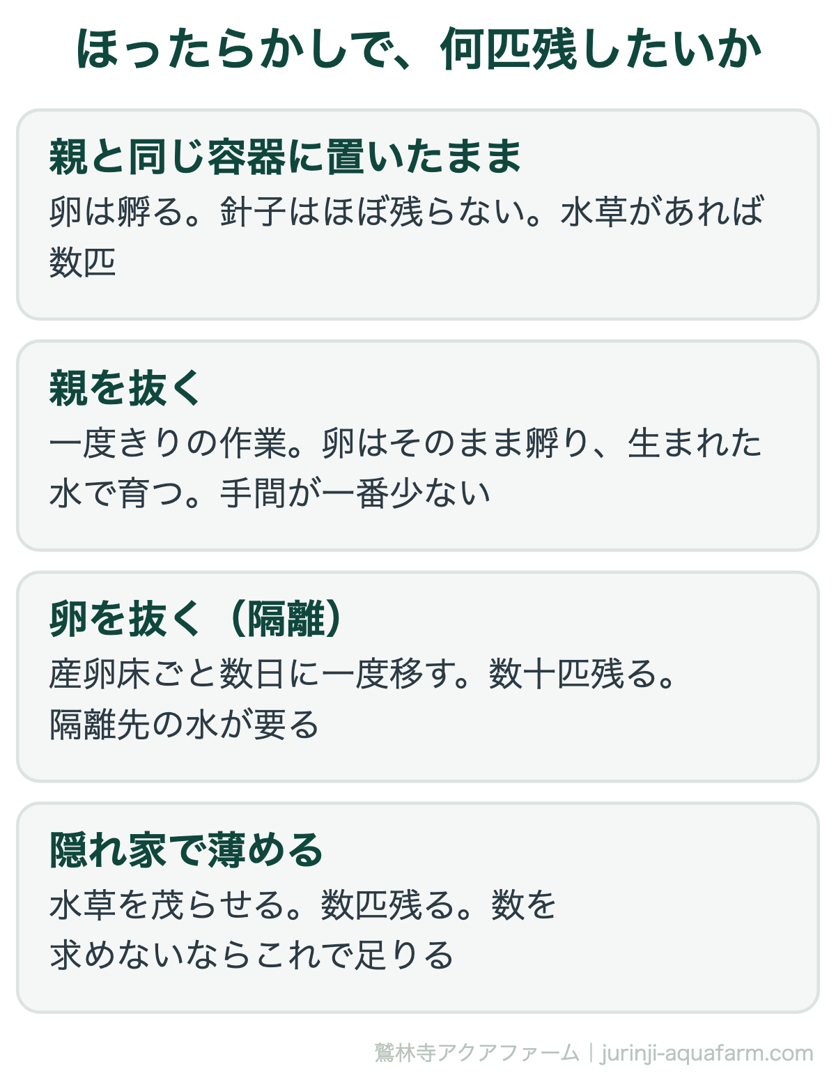 メダカの卵をほったらかしにしたときの結果と残す方法の図。親と同じ容器に置いたままなら卵は孵るが針子はほぼ残らない。親を抜けば一度きりの作業で卵はそのまま孵り手間が一番少ない。卵を抜く隔離なら数十匹残るが隔離先の水が要る。隠れ家で薄めるなら数匹残る