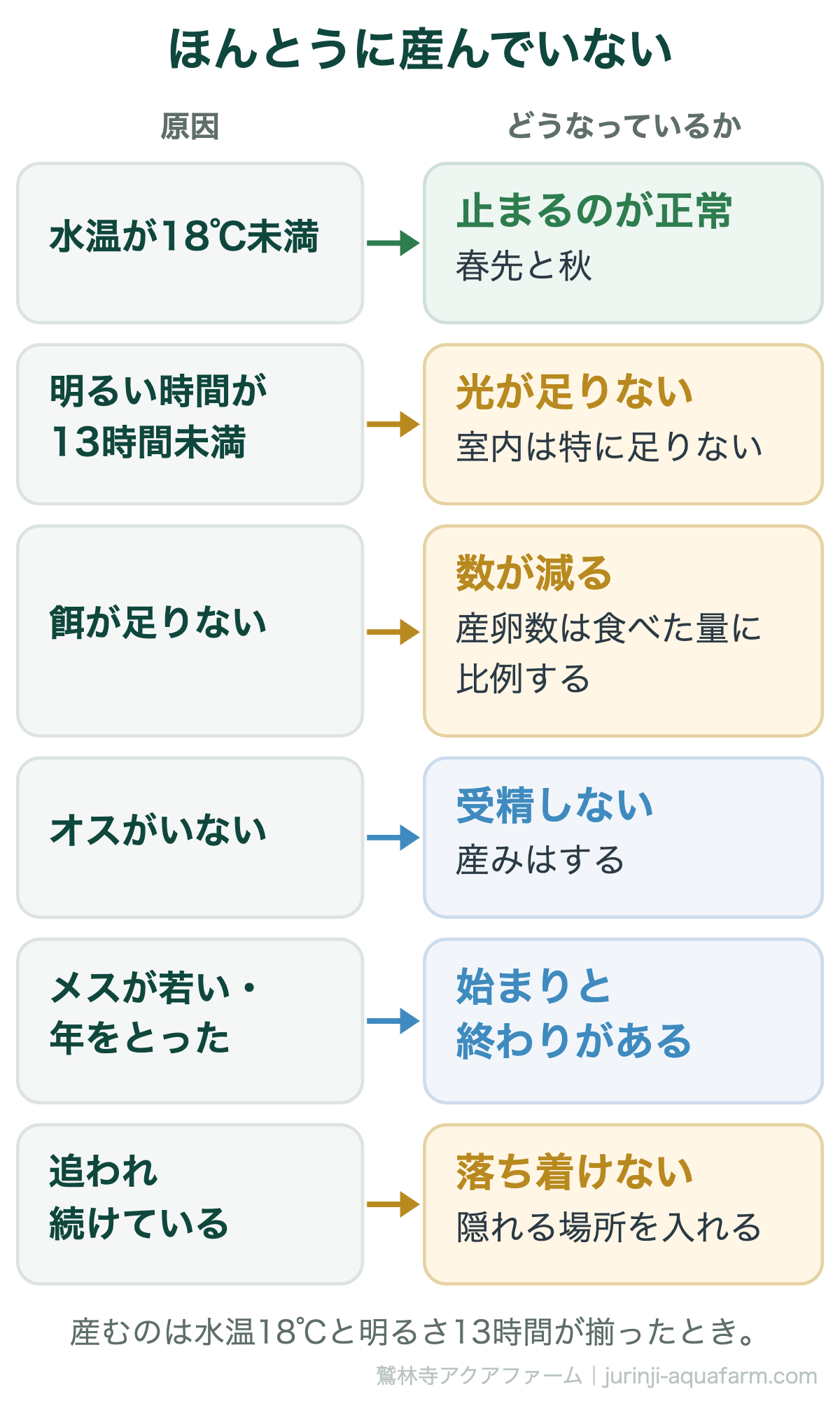メダカがほんとうに卵を産んでいないときの原因。水温が18℃未満なら春先と秋で止まるのが正常。明るい時間が13時間に満たない。餌が足りないと数が減る。オスがいないと産みはするが受精しない。メスが若すぎるか年をとった。追われ続けて落ち着けない