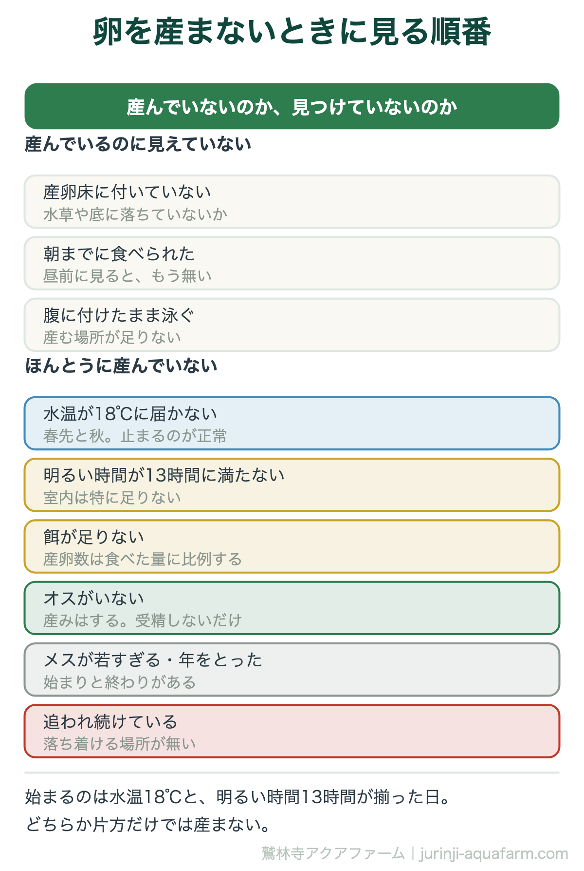メダカが卵を産まないときに見る順番の図。まず産んでいないのか見つけていないのかを分ける。産卵床に付いていない・朝までに食べられた・腹に付けたまま泳ぐ、が見えていない側。水温18℃未満・明るい時間13時間未満・餌不足・オスがいない・メスの年齢・追われ続けている、が産んでいない側