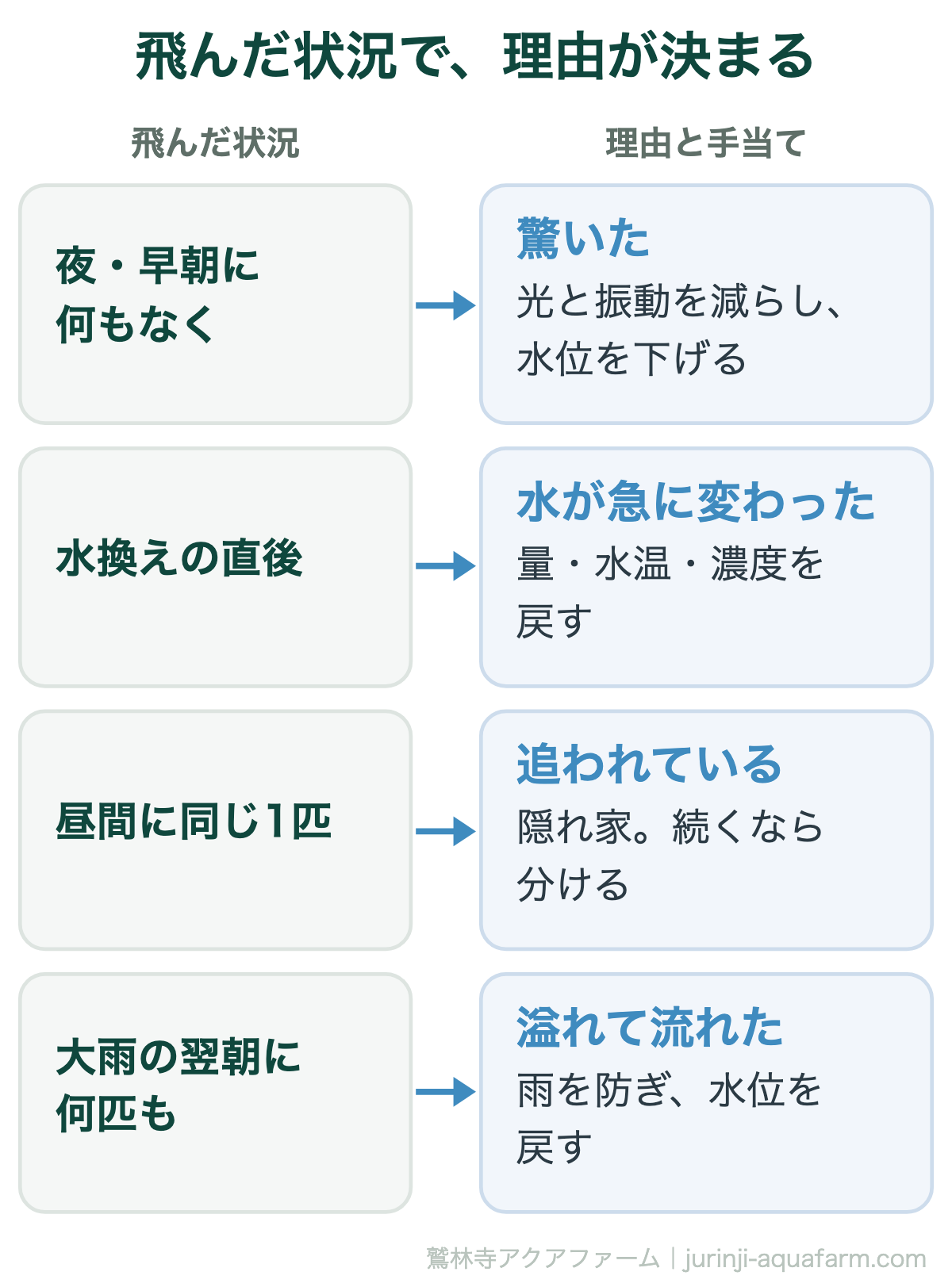 メダカの飛び出しの理由を状況で見分ける対応図。夜や早朝に何もしていないなら驚いたので光と振動を減らし水位を下げる。水換えや塩浴や引っ越しの直後なら水が急に変わった。昼間にいつも同じ1匹なら追われているので隠れ家を入れる。大雨の翌朝に何匹も減ったなら溢れて流れた