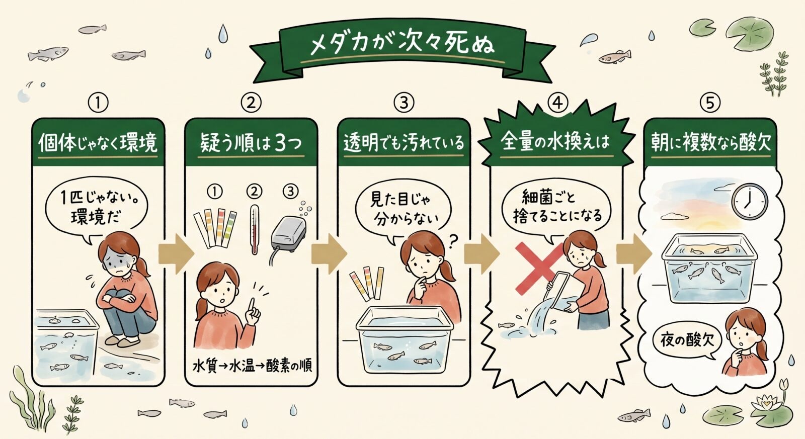 メダカが次々死ぬときのグラレコ。1匹じゃなく複数なら個体でなく環境。疑う順は水質・水温・酸素の3つ。透明でも汚れている。全量の水換えは細菌ごと捨てることになるので×。朝に複数死んでいたら夜の酸欠