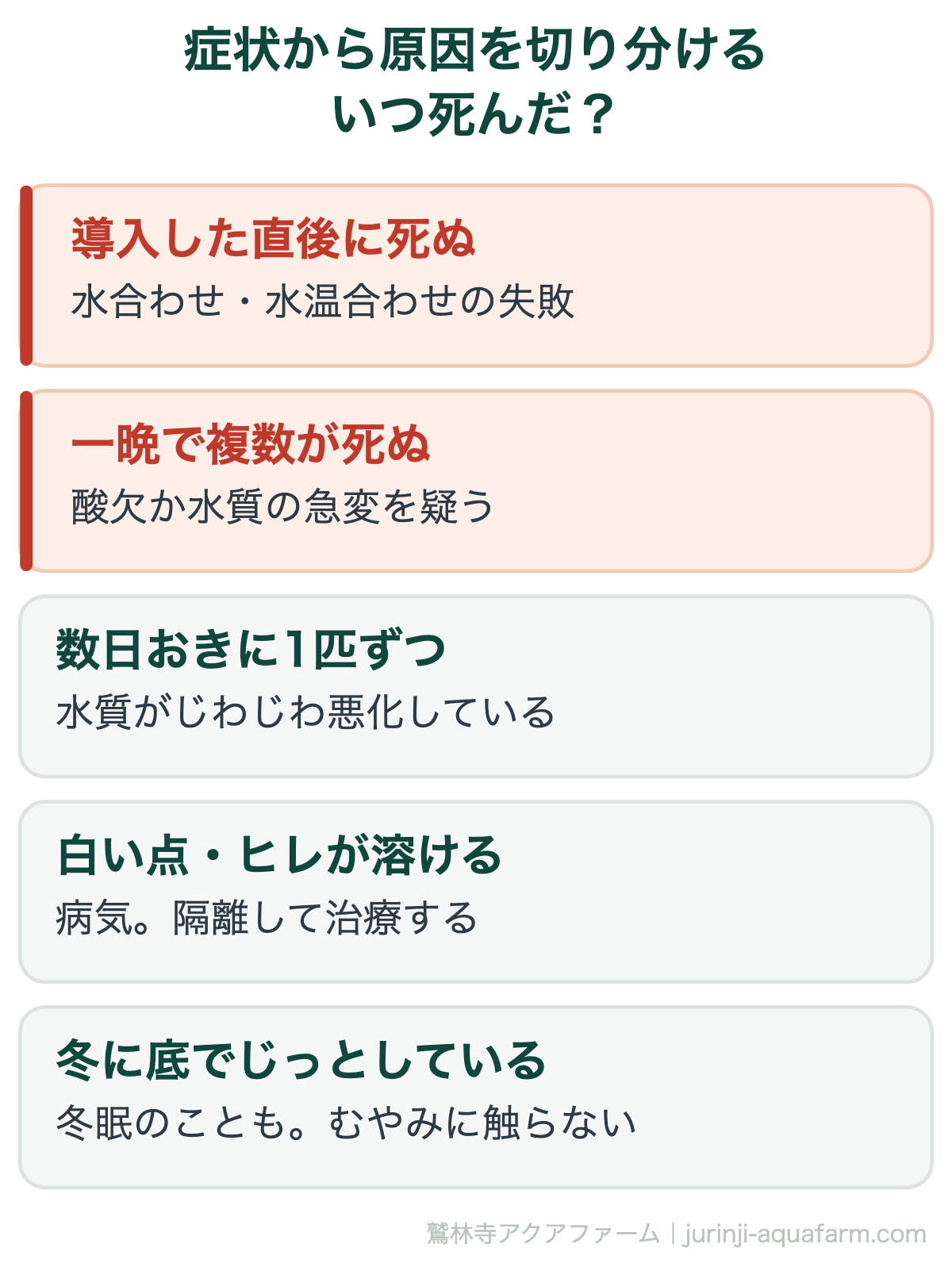 症状から原因を切り分ける。メダカが次々死ぬ原因と対策