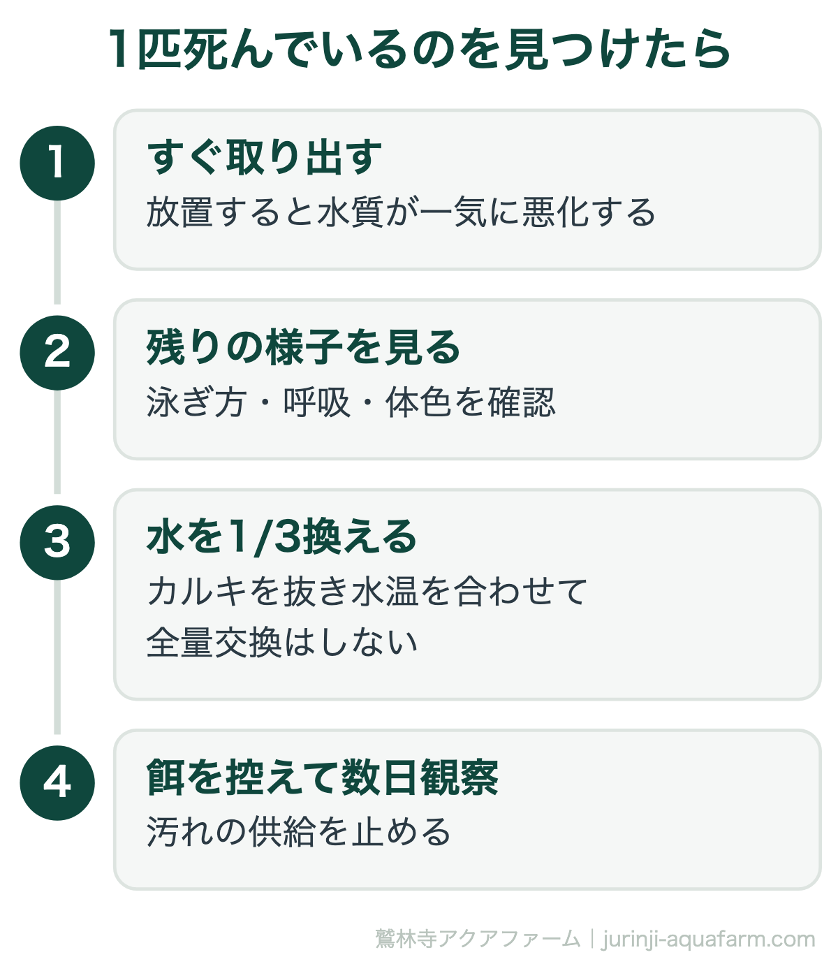 1匹死んでいるのを見つけたら。メダカが次々死ぬ原因と対策