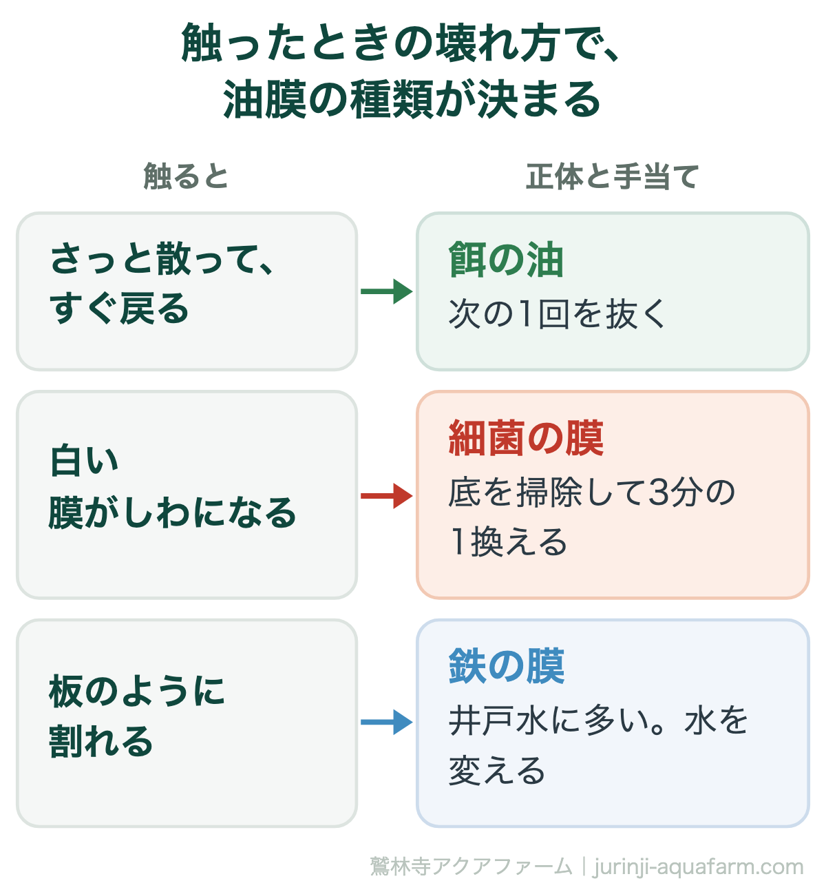 メダカの油膜の種類を触ったときの壊れ方で見分ける対応図。さっと散ってすぐ戻るなら餌の油で次の1回を抜く。白い膜がしわになって破片が浮くなら細菌の膜で底を掃除して3分の1換える。板のように割れて戻らないなら鉄の膜で井戸水に多く水を変える