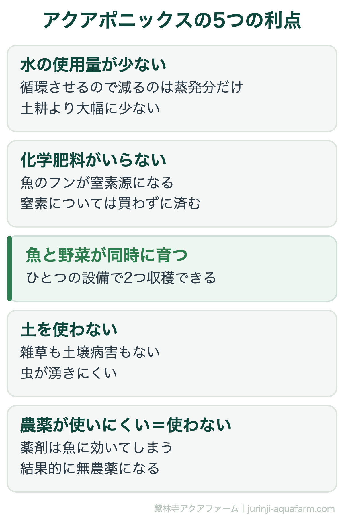 アクアポニックスの5つの利点。「農薬を使わない」のは思想ではなく構造上の必然です。魚がいる水に農薬は入れられないため、選択の余地がありません