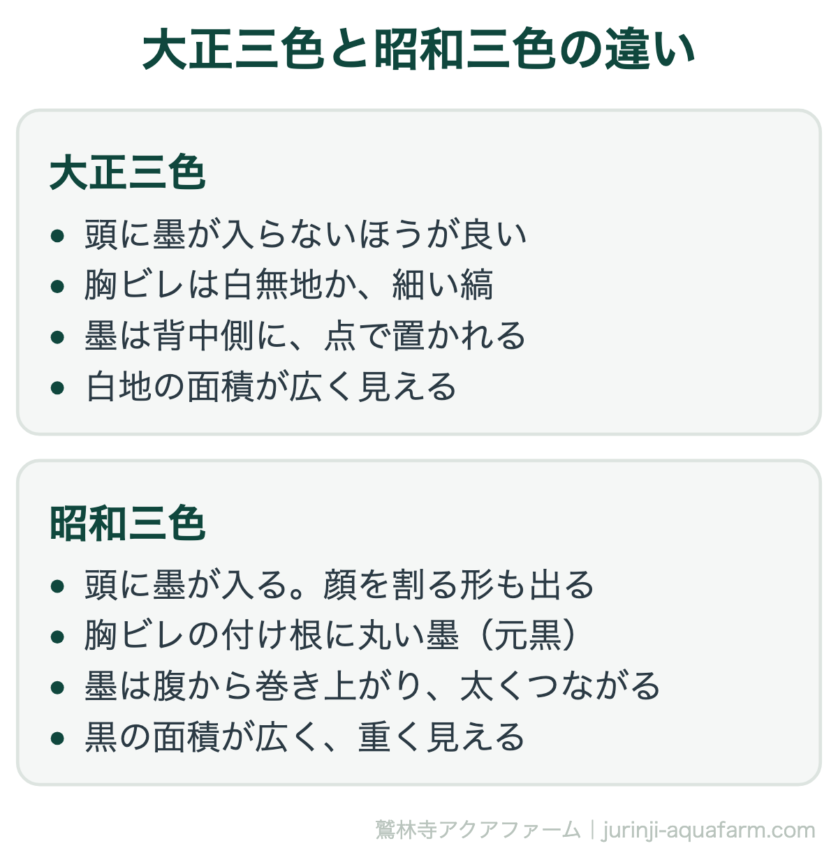大正三色と昭和三色の見分け方。迷ったら胸ビレの付け根を見て、黒い塊があれば昭和三色。大正三色は頭に墨が入らず墨は背中側に点で置かれ、昭和三色は頭に墨が出て腹から巻き上がる