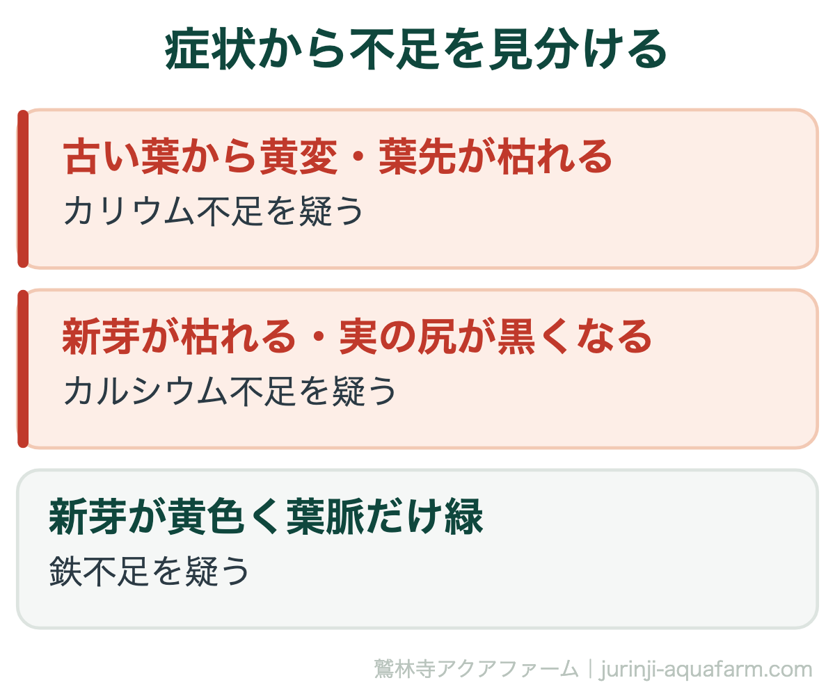 アクアポニックスで足りない栄養は3つ｜症状から不足を見分ける。どこから症状が出るかで見分けられます。古い葉からならカリウム、新しい葉からなら鉄が目安です