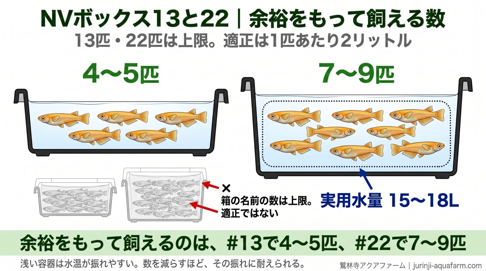NVボックス13・22でメダカ飼育｜適正な飼育数と屋外管理の完全ガイド