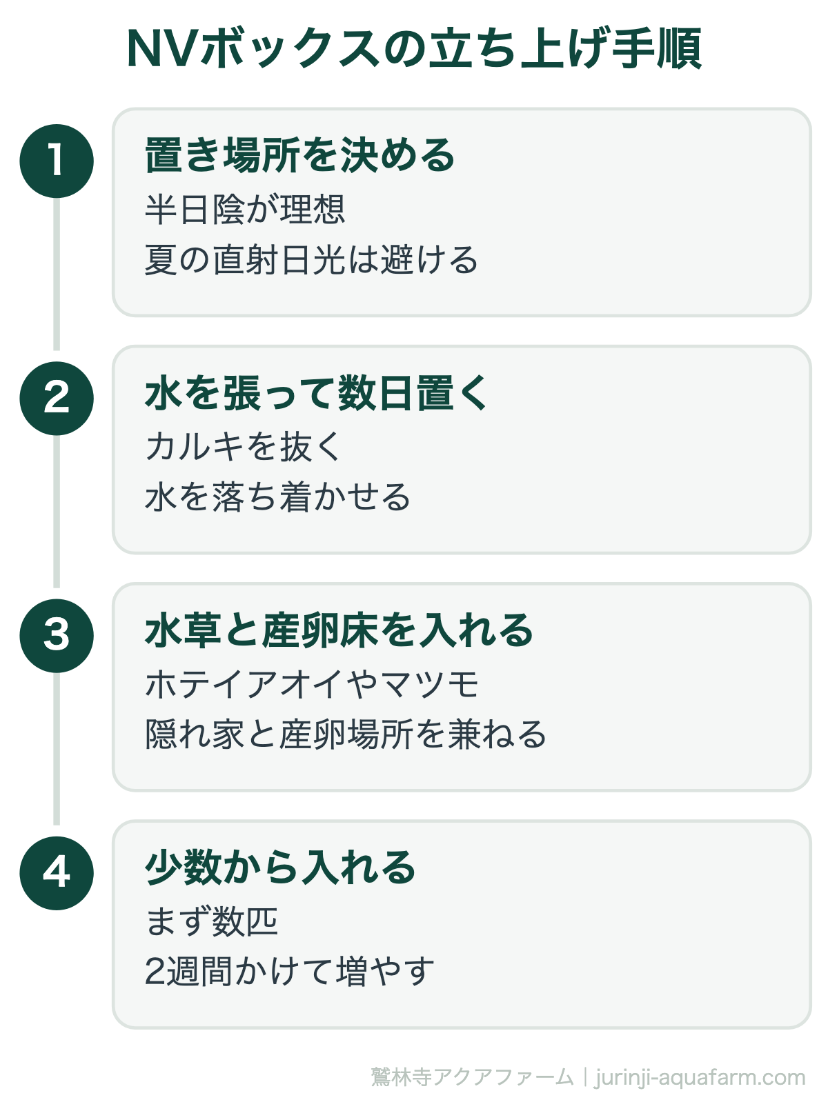 NVボックス13・22でメダカ飼育｜NVボックスの立ち上げ手順。屋外飼育はろ過装置を使わないことが多いぶん、水と生き物のバランスが立ち上がるまで時間がかかります。急がないことが成功の条件です
