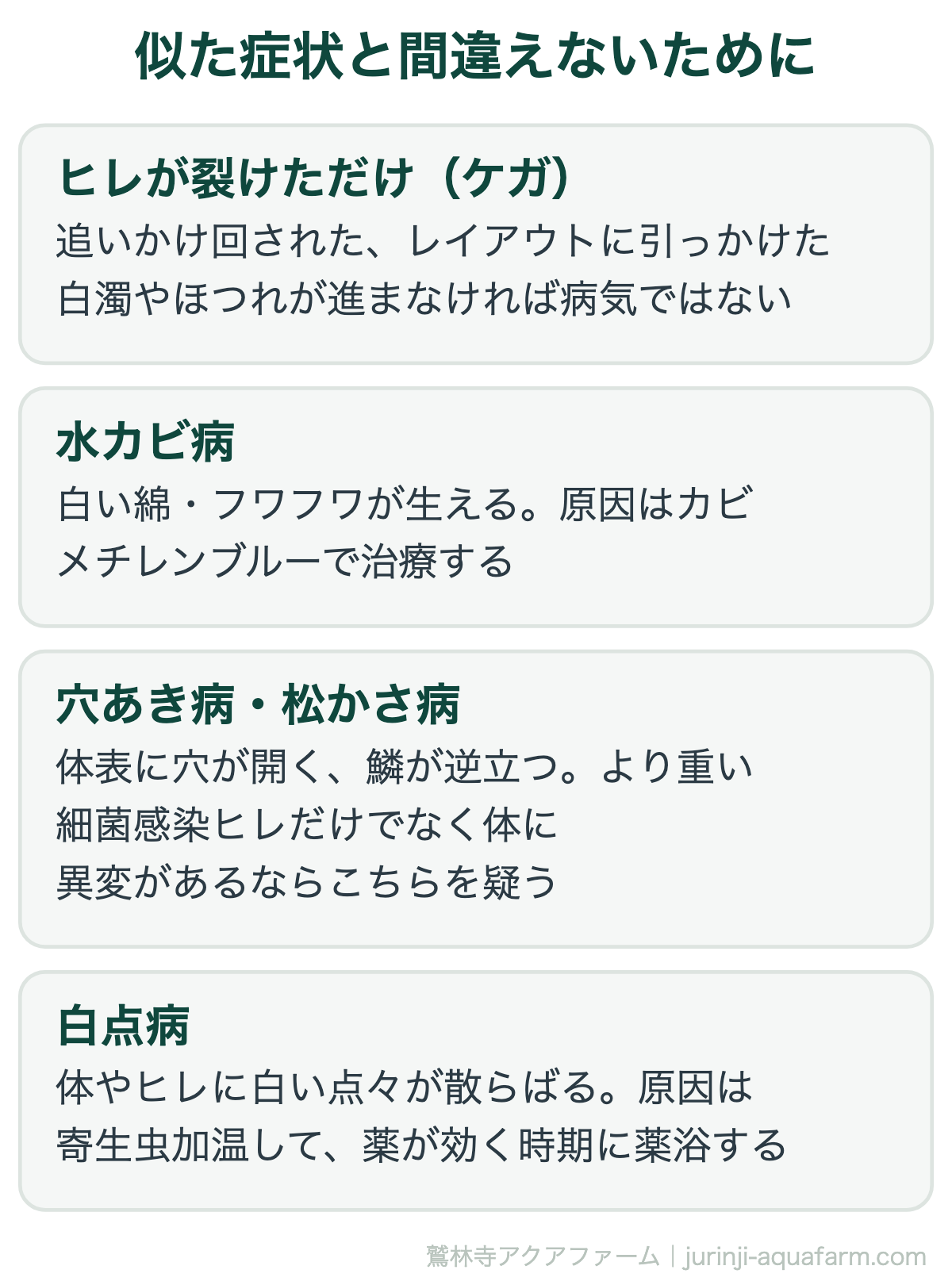 メダカの尾ぐされ病と似た症状の見分け方。水カビ病・白点病・コショウ病・ヒレの物理的な傷との違い