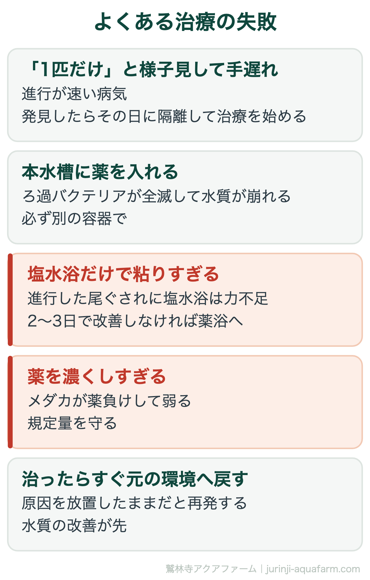 メダカの尾ぐされ病でよくある治療の失敗。本水槽に薬を入れる、薬を途中でやめる、規定量を守らない、水温を上げすぎる