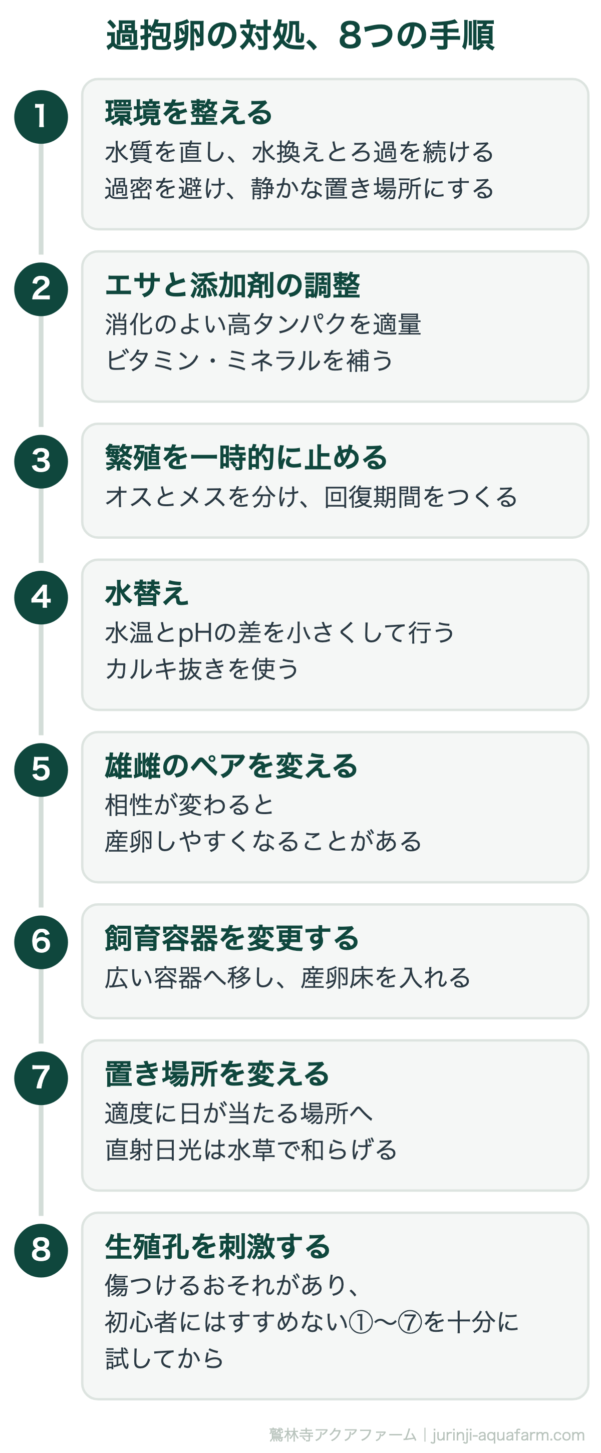 メダカの過抱卵の対処8つの手順。①環境を整える、水換えと過密の解消から始める。腹部を押し出す方法はメダカを傷つけるおそれがあるので、いちばん最後にする