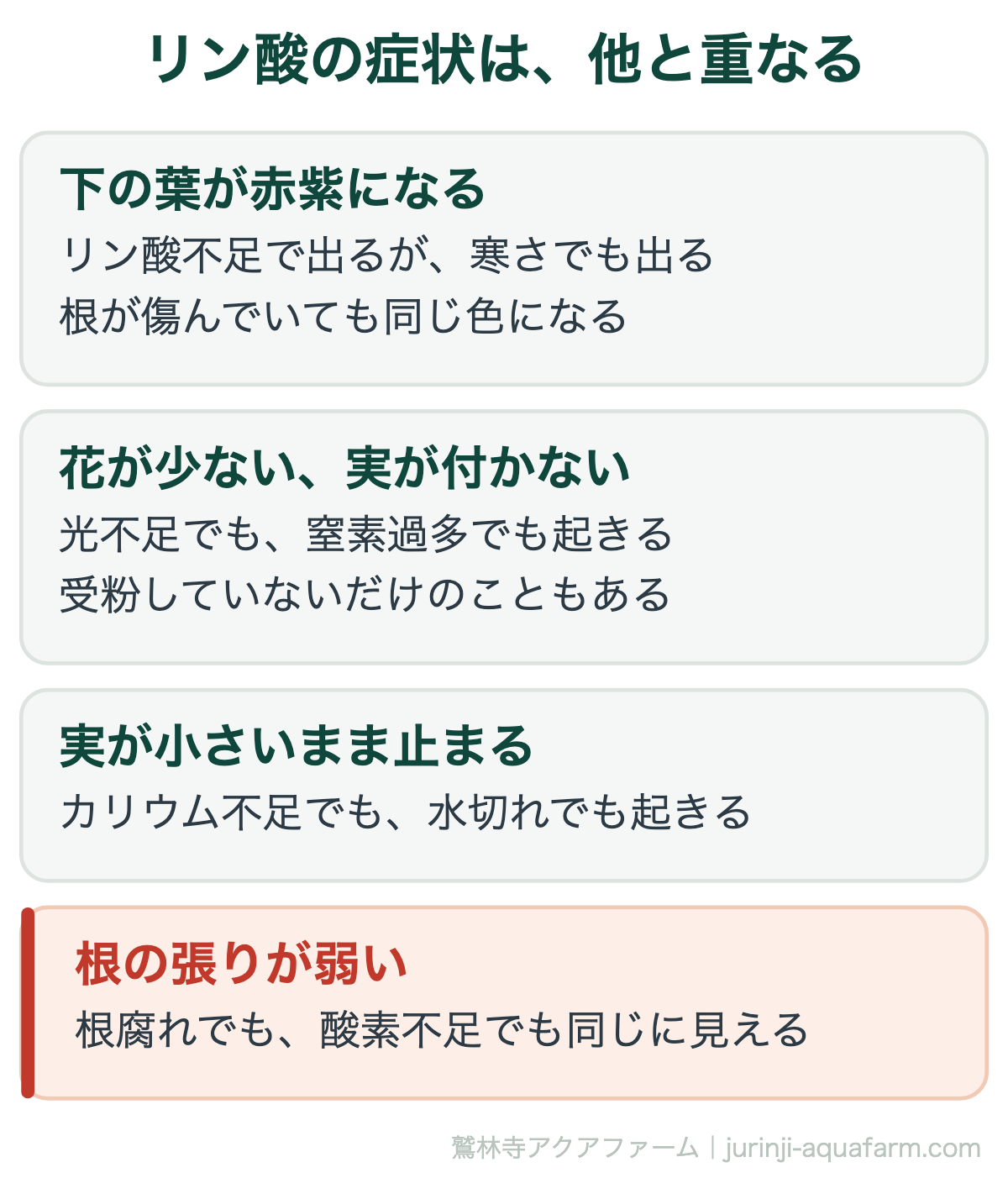 リン酸不足の症状は他の原因と重なる。下葉の赤紫・花が少ない・実が小さい・根の張りが弱い