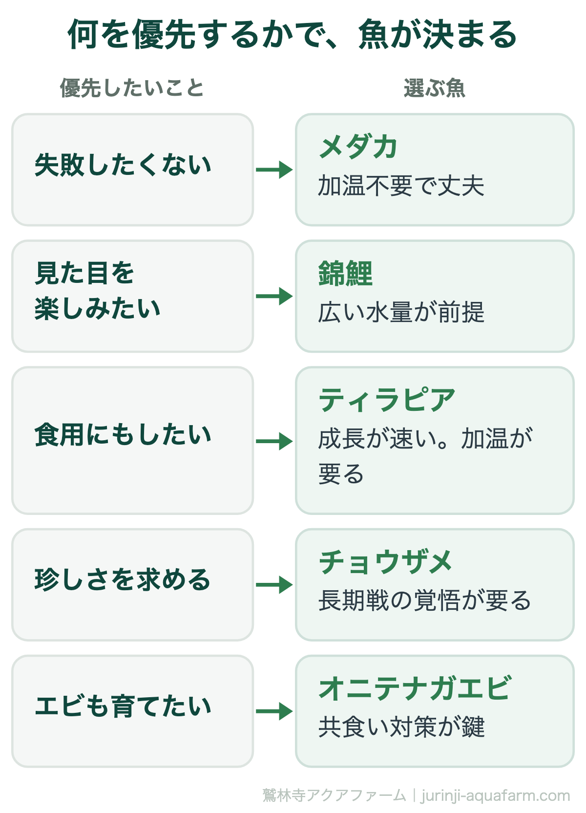 アクアポニックスの魚を目的別に選ぶ対応図。とにかく失敗したくないならメダカで加温不要で丈夫。観賞価値を重視するなら錦鯉で広い水量が前提。食用も視野に入れるならティラピアで成長が速いが加温が要る。珍しさを求めるならチョウザメで長期戦。エビも育てたいならオニテナガエビで共食い対策が鍵