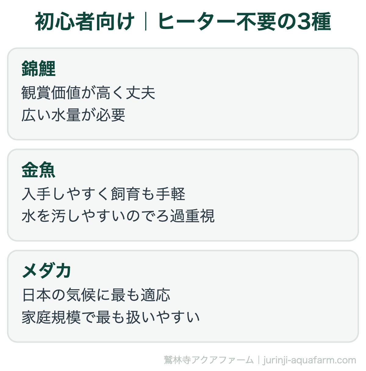 アクアポニックスの魚の選び方｜初心者向け｜ヒーター不要の3種。この3種は日本の気候にそのまま適応でき、通年で加温不要です。初めてのアクアポニックスはここから選べば失敗しにくくなります