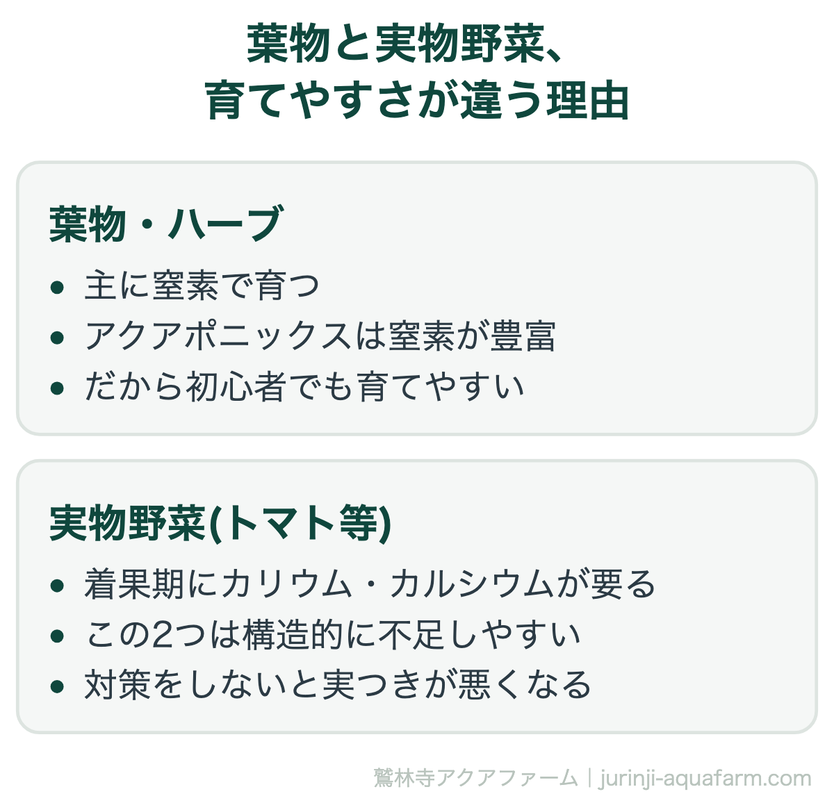 葉物と実物野菜、育てやすさが違う理由。【2026年版】アクアポニックス『初心者から中級者』で育てるおすすめの葉物＆実物野菜・ハーブ