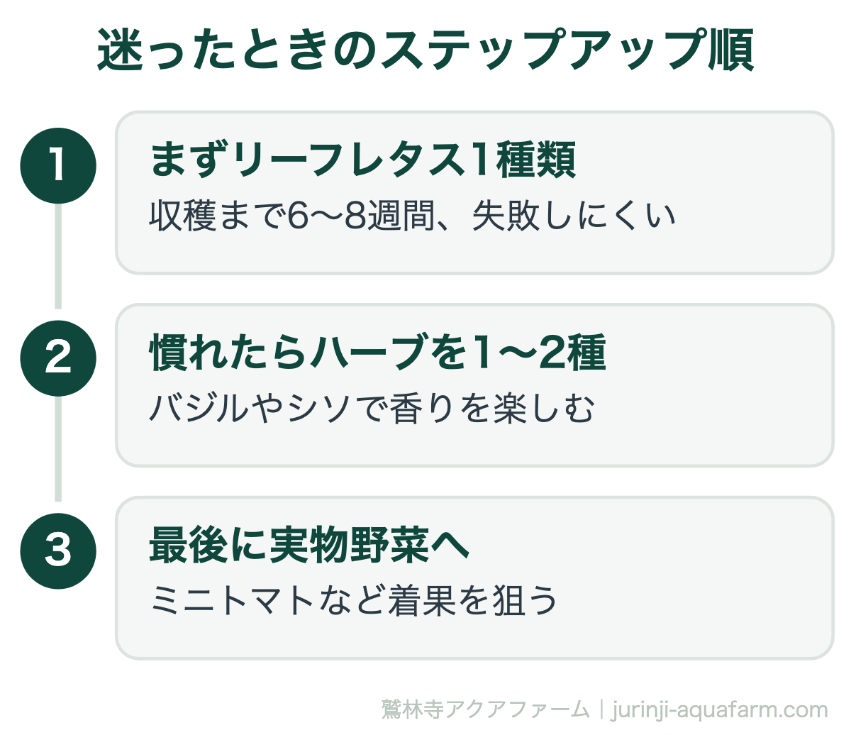 迷ったときのステップアップ順。【2026年版】アクアポニックス『初心者から中級者』で育てるおすすめの葉物＆実物野菜・ハーブ