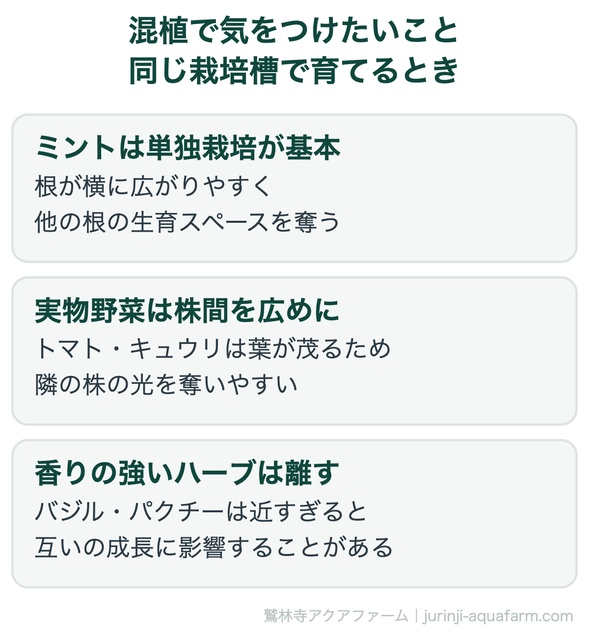 混植で気をつけたいこと。【2026年版】アクアポニックス『初心者から中級者』で育てるおすすめの葉物＆実物野菜・ハーブ