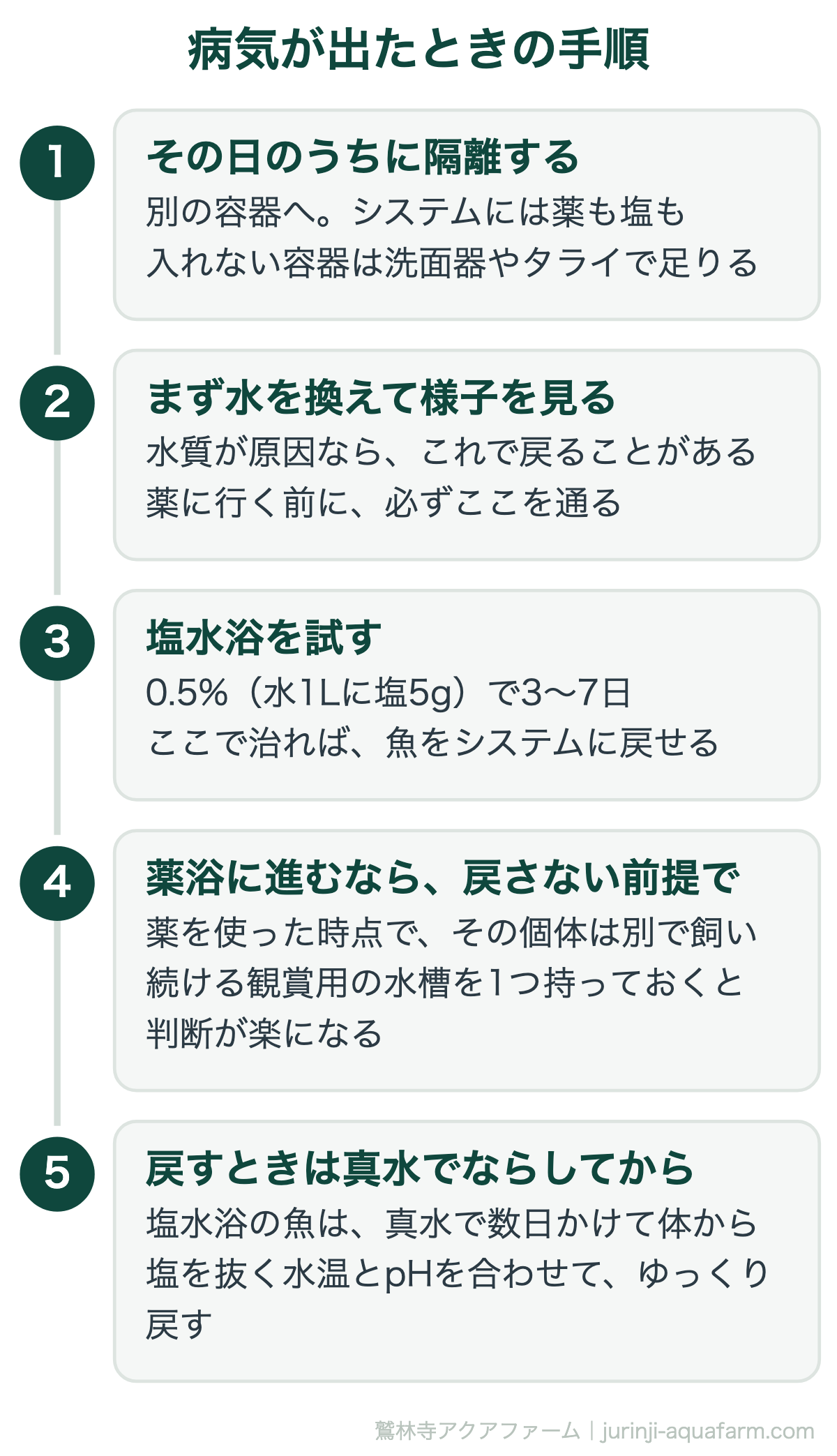 アクアポニックスの魚が病気に｜病気が出たときの手順。薬に進むかどうかが分かれ道。進んだら「戻さない」と決めておくほうが迷わない