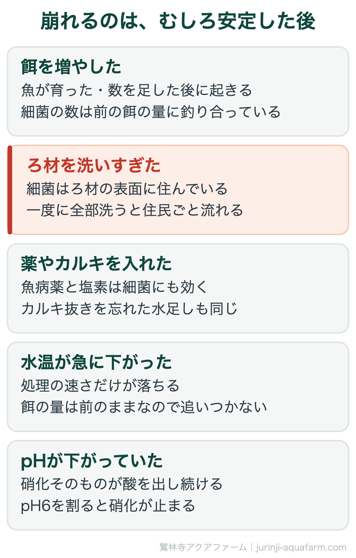 アクアポニックスの硝化サイクル｜崩れるのは、むしろ安定した後。どれも「うまくいっている」と感じている時期に起きる。だから気づくのが遅れる
