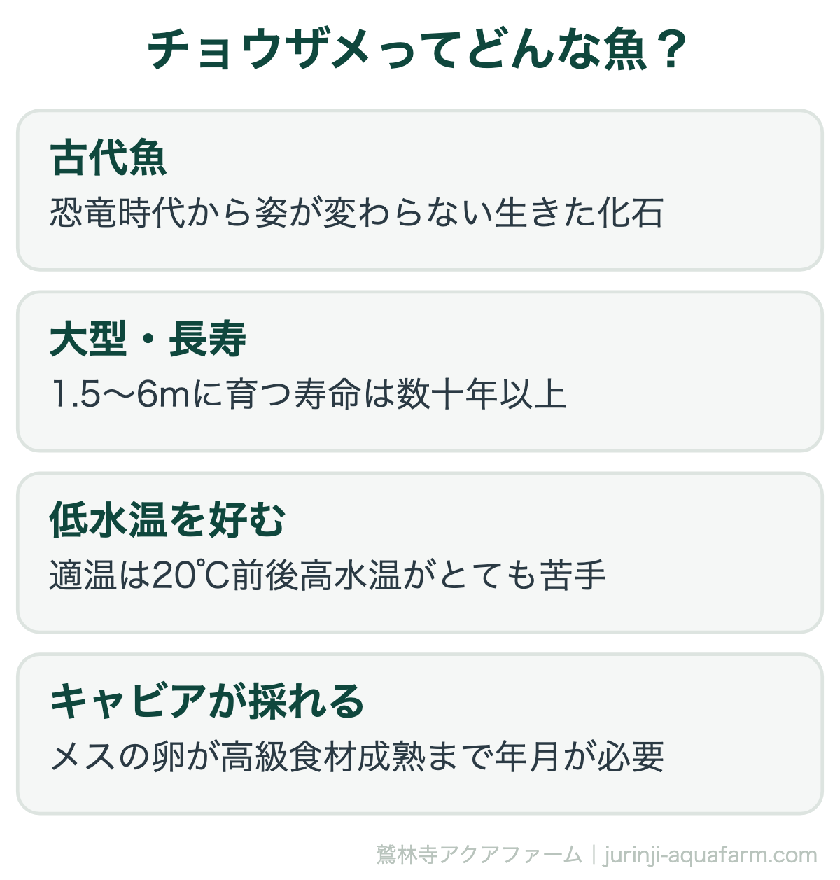 【自宅でキャビア】アクアポニックスでのチョウザメの飼育法｜チョウザメってどんな魚？。チョウザメは古代魚の仲間で、大きく育ち長生きする低水温性の魚。メスの卵がキャビアになりますが、成熟には長い年月がかかります