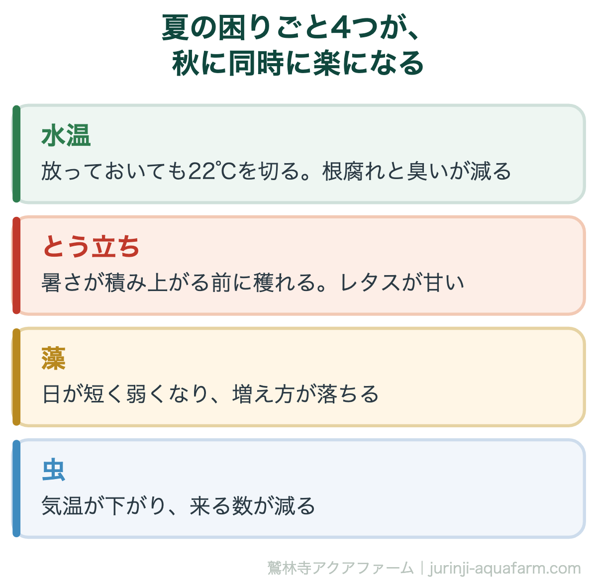 水耕栽培を秋から始めると楽になる4つの図。水温は放っておいても22℃を切り根腐れと臭いが減る。とう立ちは暑さが積み上がる前に穫れてレタスが甘い。藻は日が短く弱くなり増え方が落ちる。虫は気温が下がり来る数が減る