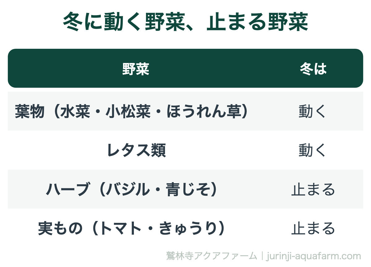 冬に動く野菜と止まる野菜の表。水菜・小松菜・ほうれん草などの葉物とレタス類は動く。バジル・青じそなどのハーブとトマト・きゅうりなどの実ものは止まる