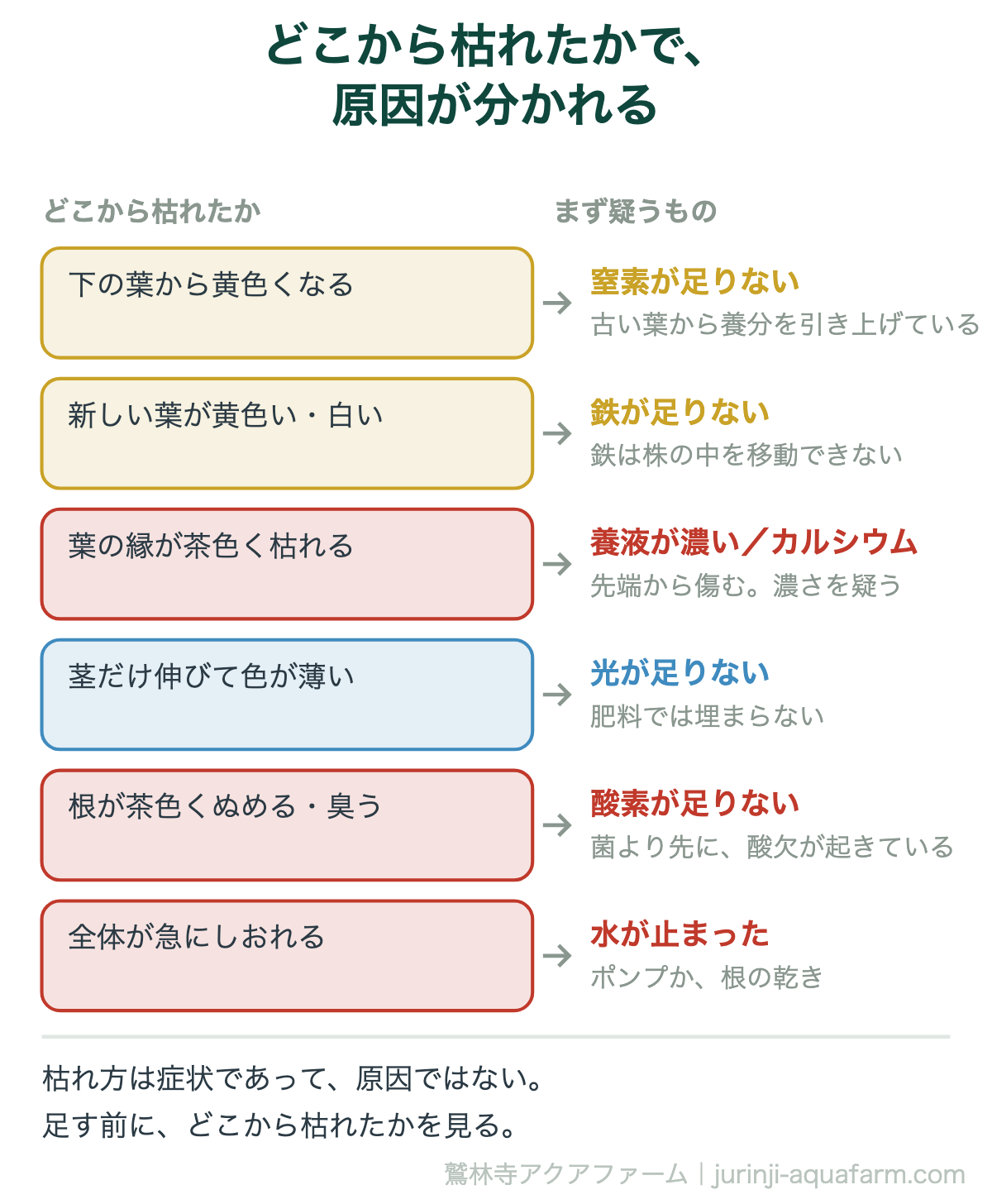 水耕栽培で枯れる原因の切り分け図。下の葉から黄色いなら窒素不足、新しい葉が黄色いなら鉄不足、葉の縁が茶色いなら養液が濃いかカルシウム、茎だけ伸びるなら光不足、根が茶色くぬめるなら酸素不足、全体が急にしおれたら水が止まっている
