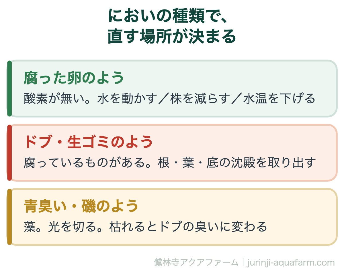 水耕栽培の水の臭いを種類で分ける図。腐った卵のようなら酸素が無く、水を動かすか株を減らすか水温を下げる。ドブや生ゴミのようなら腐っているものがあり、根・葉・底の沈殿を取り出す。青臭い・磯のようなら藻で、光を切る