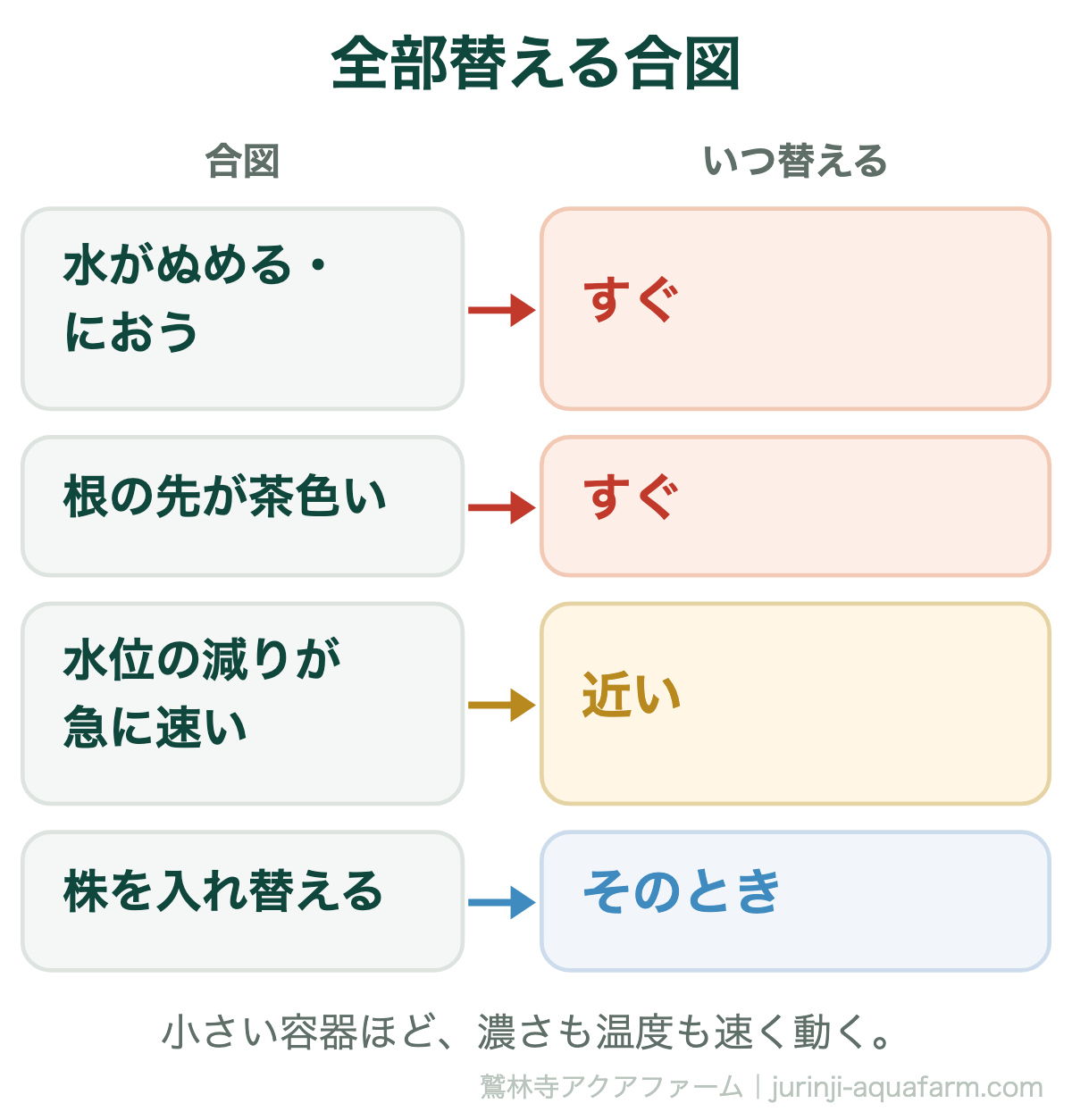 水耕栽培で全部替える合図。水がぬめる・においが出たら、根の先が茶色くなってきたらすぐ。水位の減りが急に速くなったら近い。株を入れ替えるときはそのとき