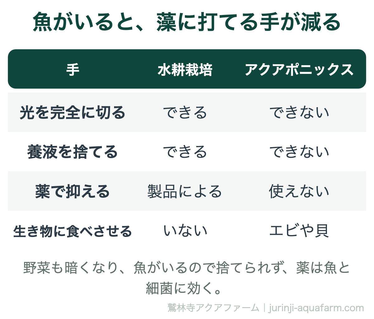 藻に打てる手を水耕栽培とアクアポニックスで比べた表。光を完全に切るのと養液を捨てるのは水耕栽培ならできるがアクアポニックスではできない。薬は水耕栽培では製品によるがアクアポニックスでは魚と細菌に効くので使えない。生き物に食べさせるのはアクアポニックスならエビや貝ができる