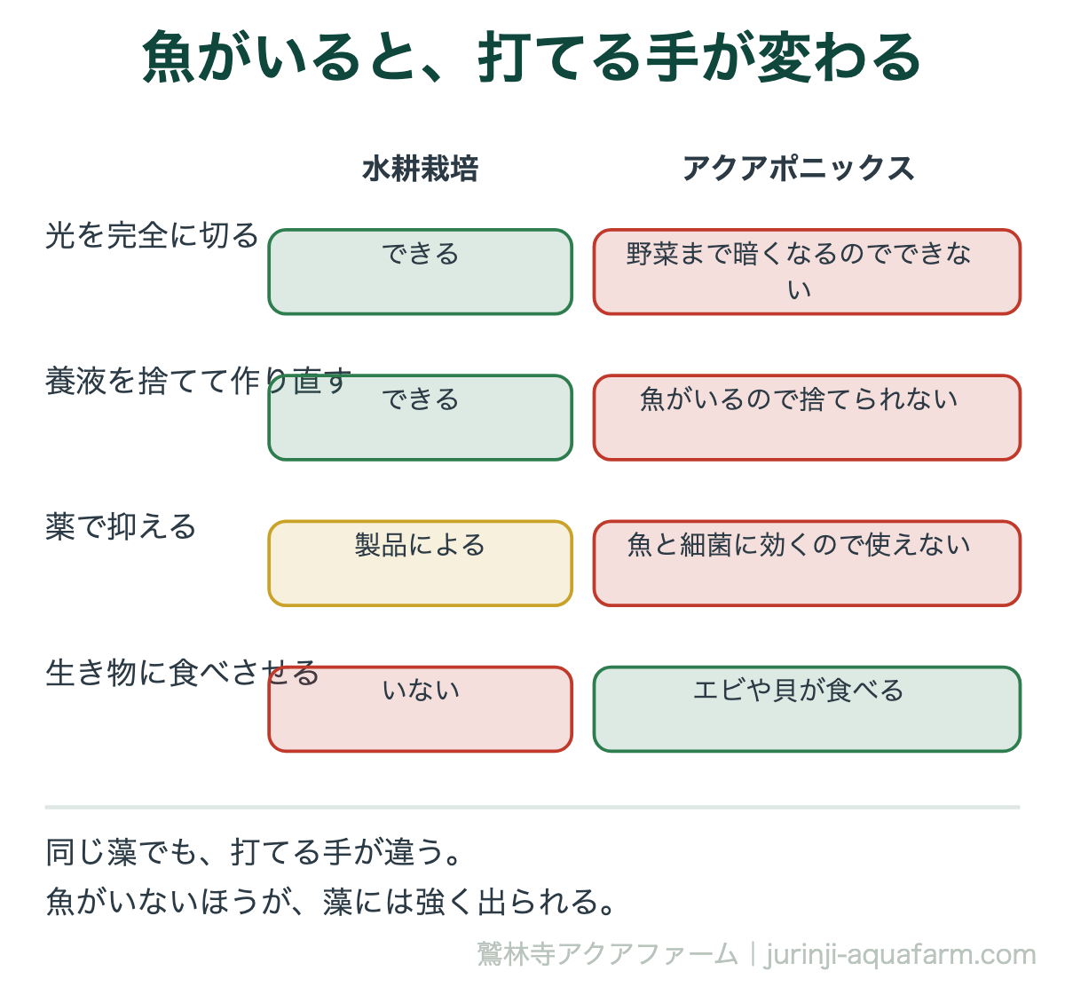 水耕栽培とアクアポニックスで藻に打てる手の違いの図。水耕栽培は光を完全に切れて養液も作り直せるが、アクアポニックスは野菜が暗くなるので切れず、魚がいるので水も捨てられない
