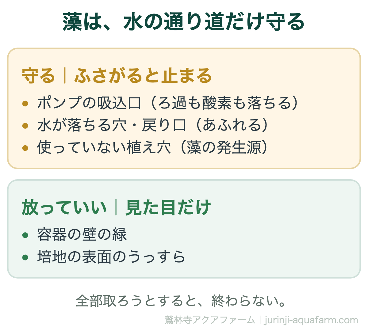 水耕栽培の藻で守る場所と放っていい場所の比較図。守るのはポンプの吸込口、水が落ちる穴や戻り口、使っていない植え穴で、ふさがると装置が止まる。容器の壁の緑や培地の表面のうっすらした藻は見た目だけなので放っていい