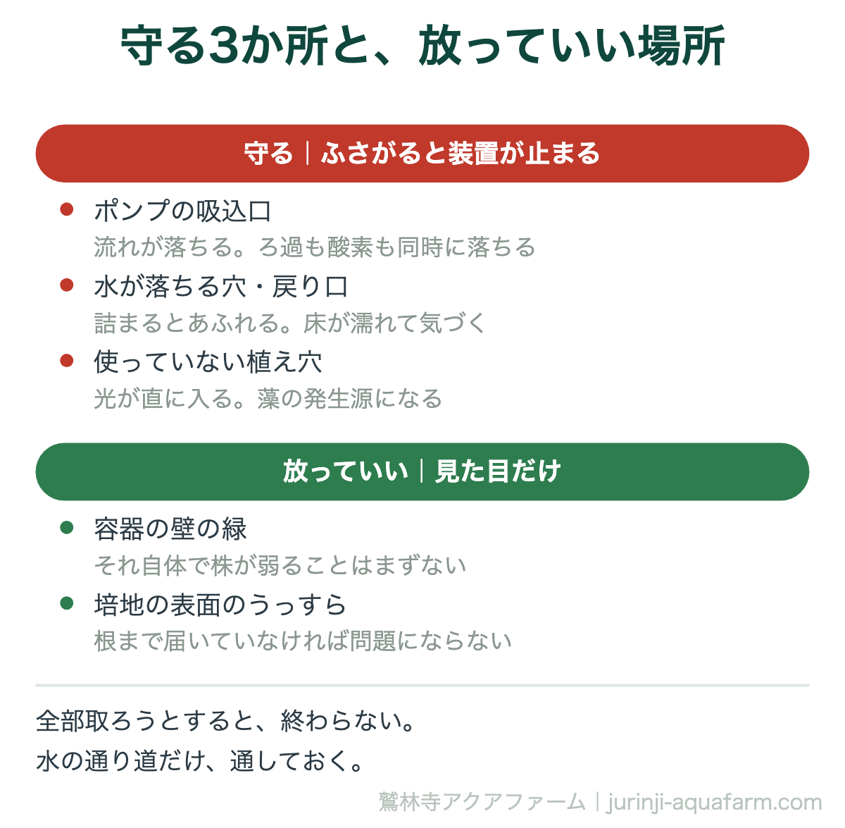 水耕栽培の藻で守る場所と放っていい場所の図。守るのはポンプの吸込口、水が落ちる穴と戻り口、使っていない植え穴。放っていいのは容器の壁の緑と培地の表面