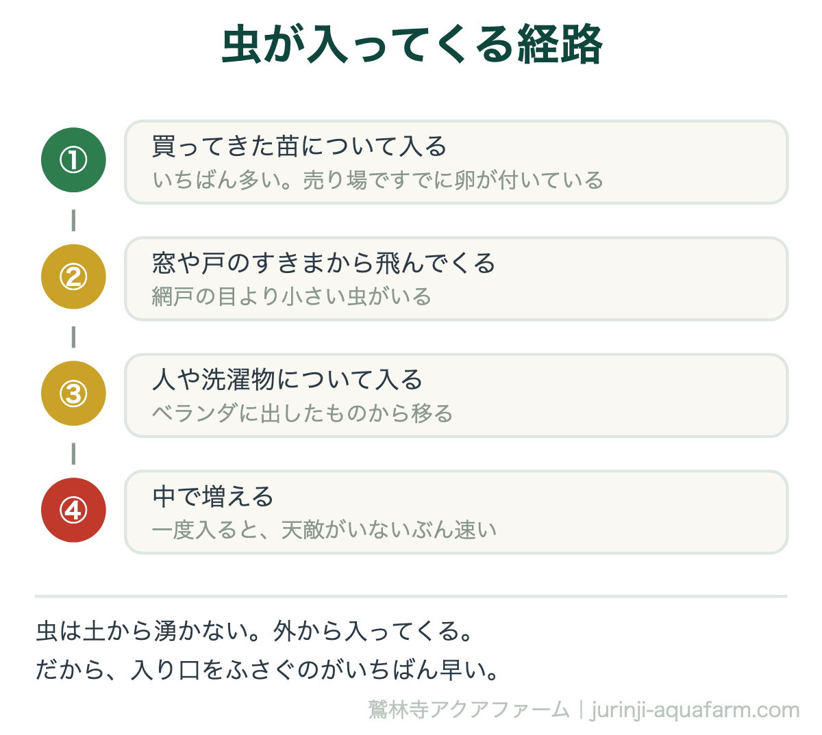 水耕栽培に虫が入ってくる経路の図。買ってきた苗について入る、窓や戸のすきまから飛んでくる、人や洗濯物について入る、そして中で増える