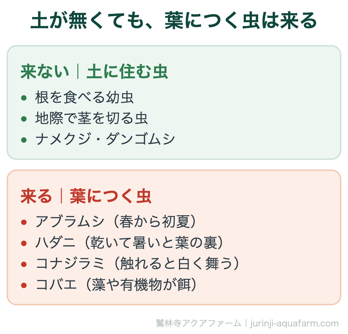 水耕栽培で来ない虫と来る虫の比較図。来ないのは根を食べる幼虫、地際で茎を切る虫、ナメクジやダンゴムシなど土に住む虫。来るのはアブラムシ、ハダニ、コナジラミ、コバエなど葉につく虫で、土があってもなくても飛んでくる