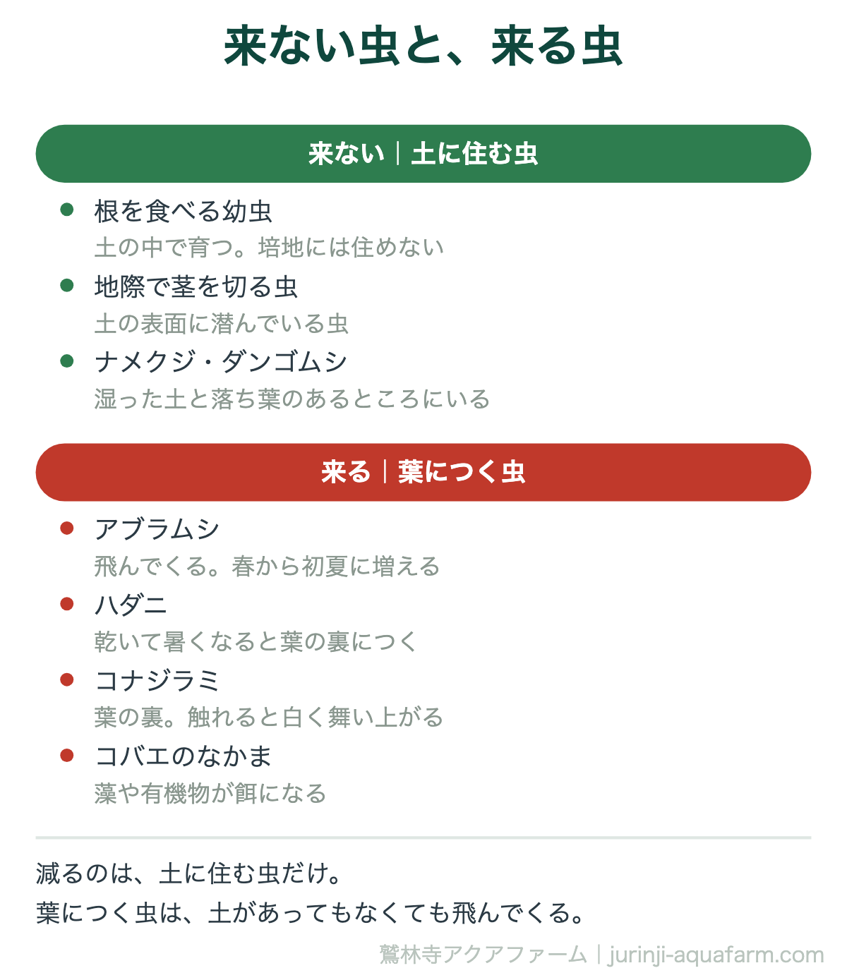 水耕栽培に来ない虫と来る虫の図。来ないのは根を食べる幼虫や地際で茎を切る虫、ナメクジなど土に住む虫。来るのはアブラムシ・ハダニ・コナジラミ・コバエのなかま