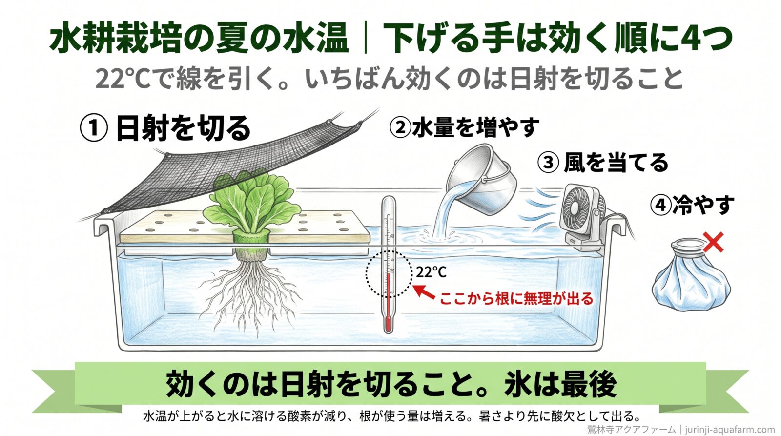 水耕栽培の夏の水温を下げる4つの手を、栽培槽の断面に示した図。効く順に、日射を切る、水量を増やす、風を当てる、冷やす。水温計は22℃で、ここから根に無理が出る。氷は最後