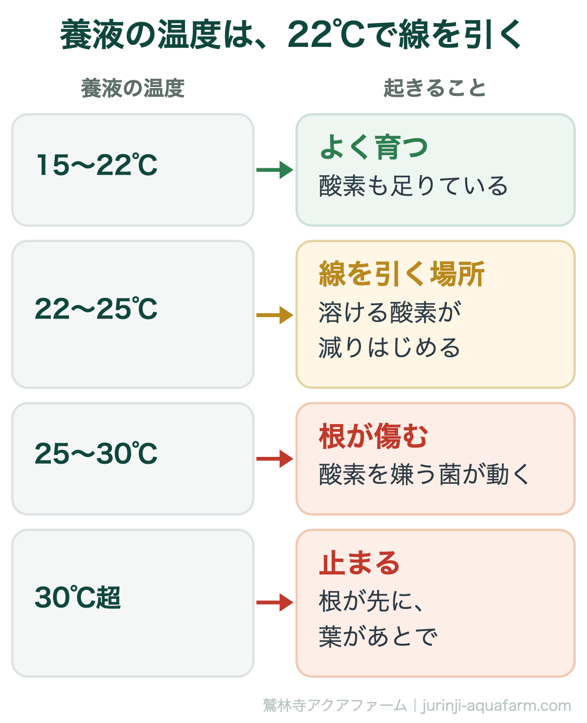水耕栽培の夏の養液温度で起きることの図。15〜22℃はよく育ち酸素も足りている。22〜25℃は溶ける酸素が減りはじめる線を引く場所。25〜30℃は酸素を嫌う菌が動き根が傷む。30℃を超えると根が先に葉があとで止まる