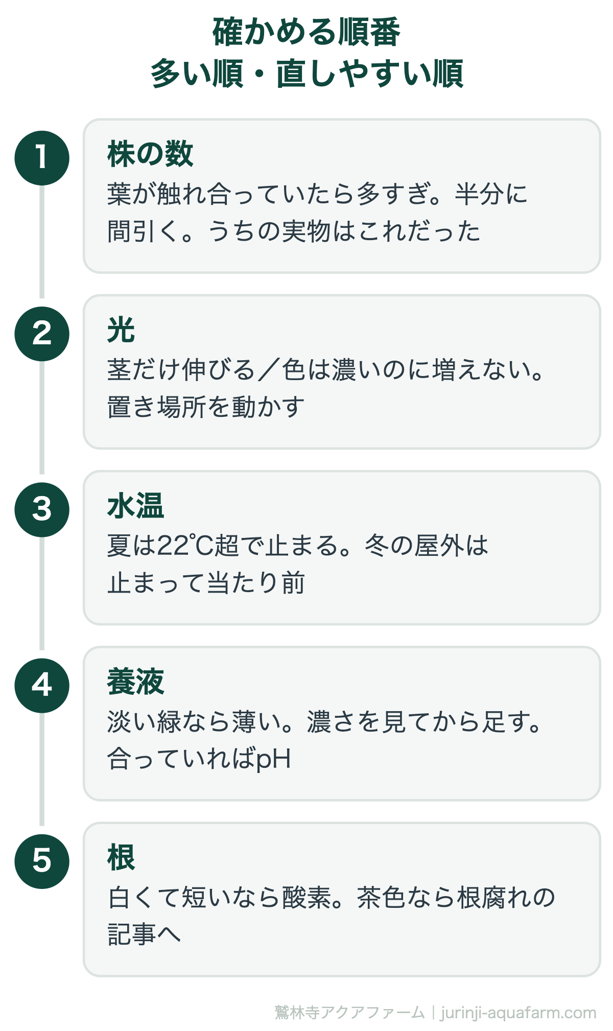 水耕栽培で大きくならないときに確かめる順番の図。1株の数は葉が触れ合っていたら多すぎで半分に間引く。2光は茎だけ伸びるか色は濃いのに増えないなら置き場所を動かす。3水温は夏は22℃超で止まり冬の屋外は止まって当たり前。4養液は淡い緑なら薄く濃さを見てから足し合っていればpH。5根は白くて短いなら酸素で茶色なら根腐れ