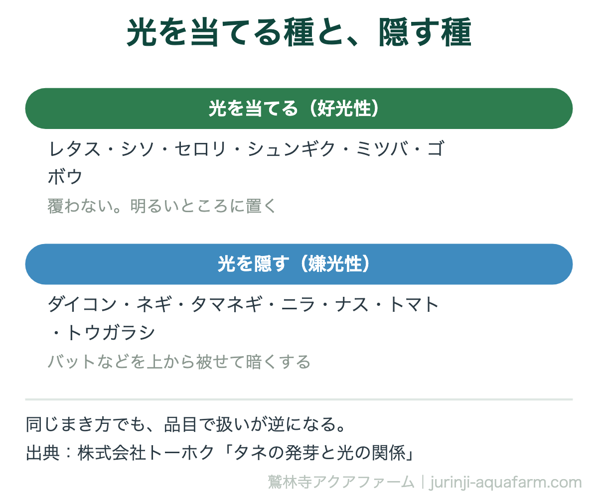 光を当てる種と隠す種の分類図。好光性はレタス・シソ・セロリ・シュンギク・ミツバ・ゴボウで覆わない。嫌光性はダイコン・ネギ・タマネギ・ニラ・ナス・トマト・トウガラシでバットを被せて暗くする