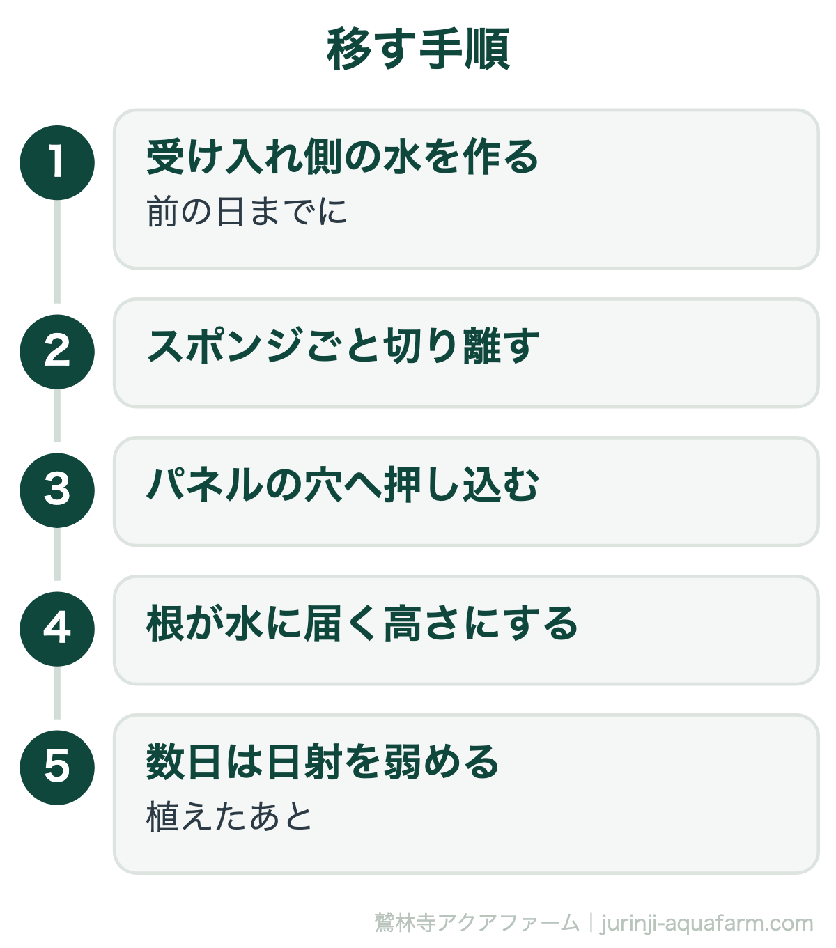 苗を移す手順。前の日までに受け入れ側の水を作る、スポンジごと切り離す、パネルの穴へ押し込む、根が水に届く高さにする、植えたあと数日は日射を弱める