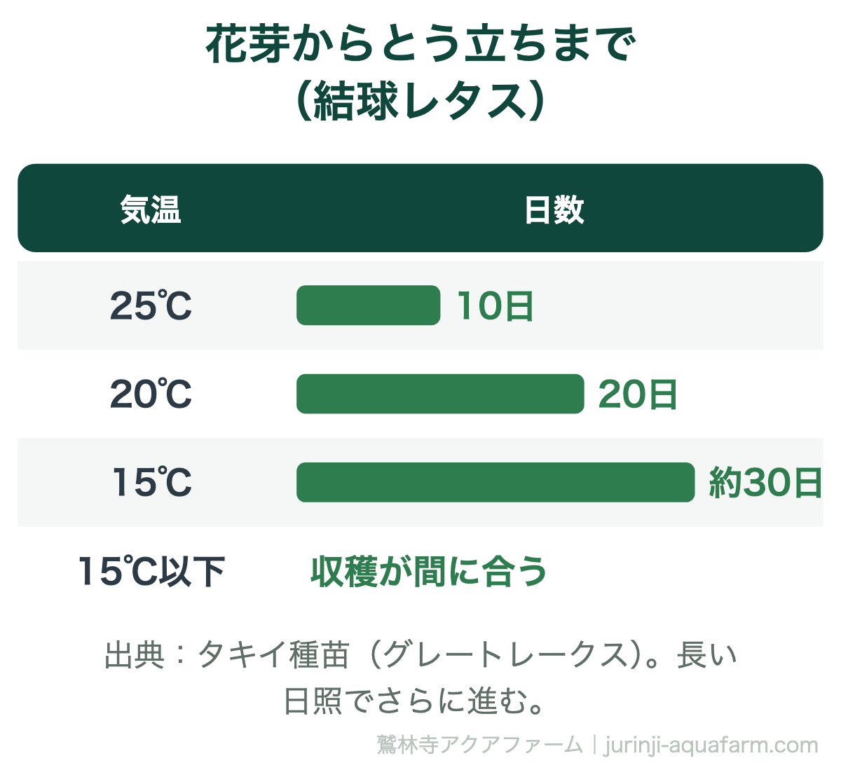 結球レタスの花芽ができてからとう立ちするまでの日数。25℃で10日、20℃で20日、15℃で約30日、15℃以下なら収穫が間に合う。出典タキイ種苗