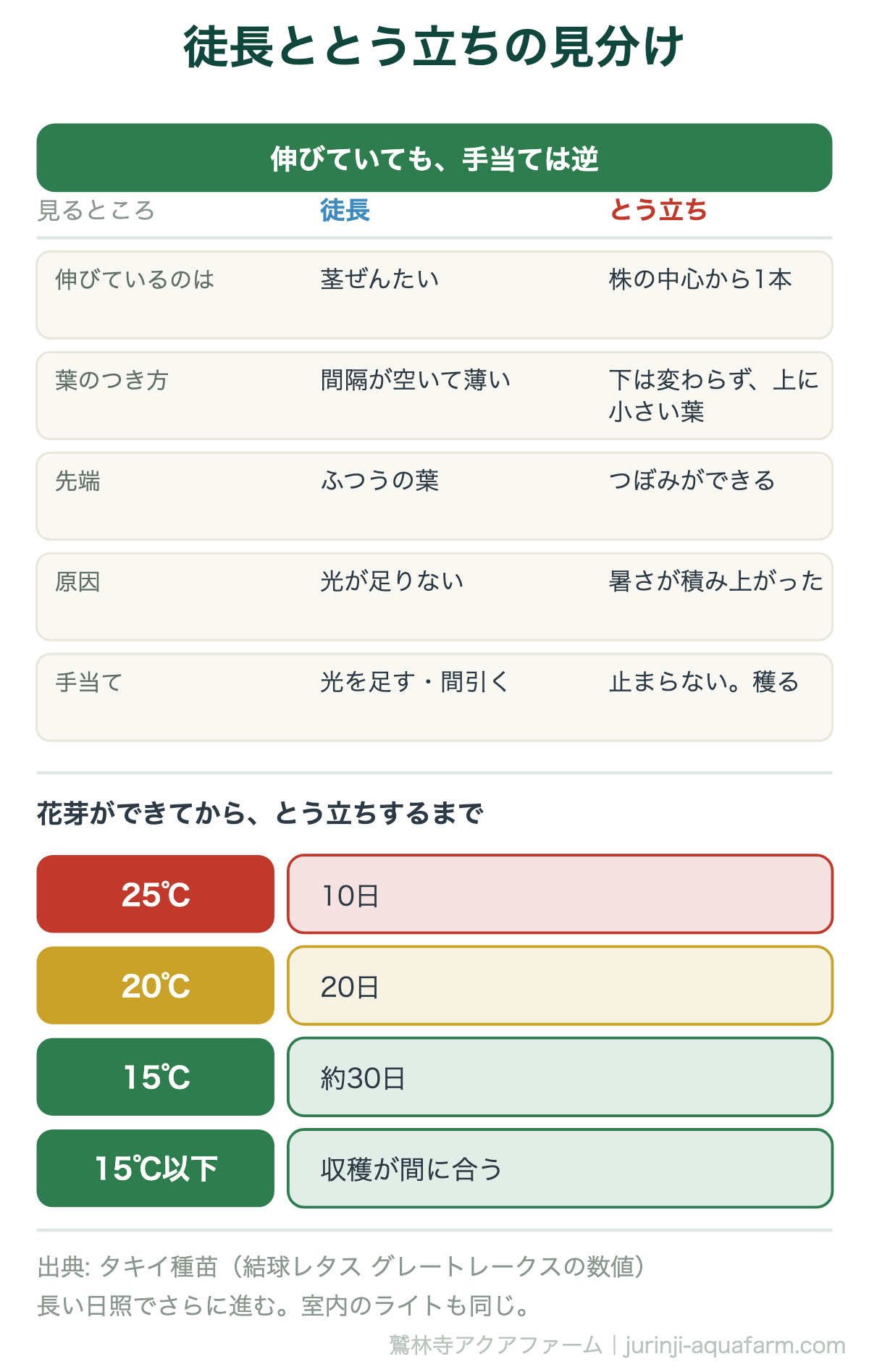 徒長ととう立ちの見分けの図。徒長は茎ぜんたいが伸び先端はふつうの葉で、原因は光不足なので光を足す。とう立ちは株の中心から1本立ち上がり先端につぼみができ、原因は暑さの積み上がりなので止まらず穫る。花芽から抽苔までは25℃で10日、20℃で20日、15℃で約30日