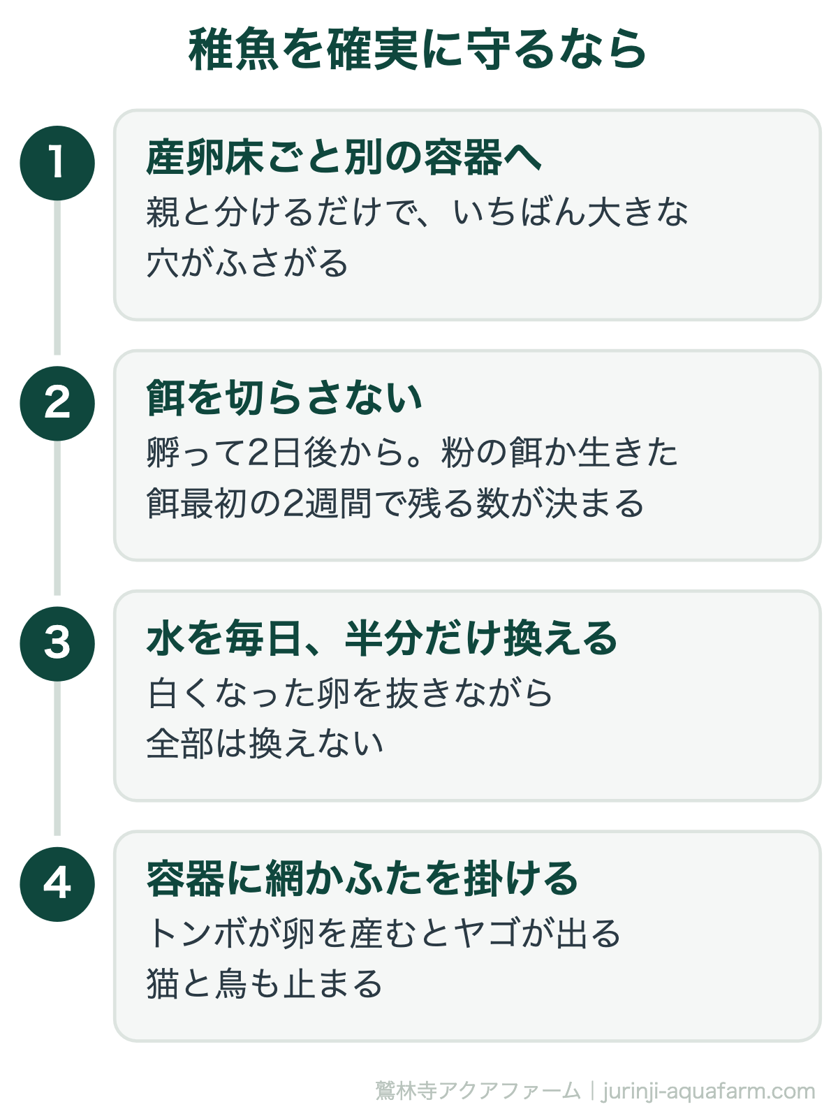 メダカの稚魚を守る4つ。産卵床ごと別容器へ・餌を切らさない・毎日半分だけ水換え・網かふた