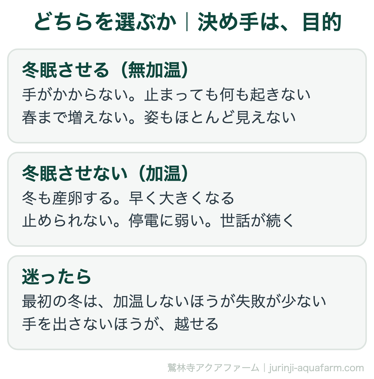 メダカを冬眠させるか、加温するか。手のかからなさと、冬も増やせることの引き換え