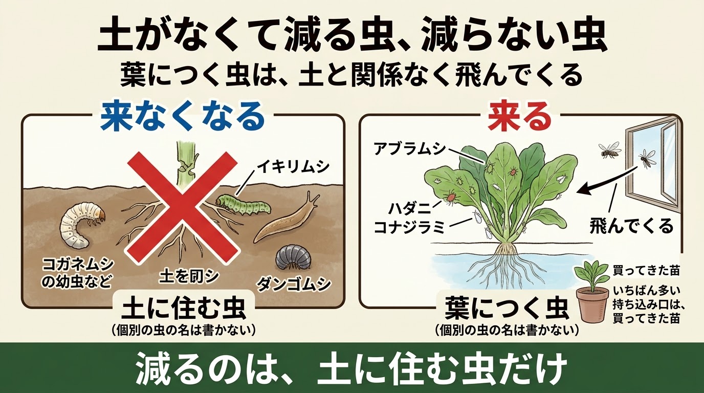 土に住む虫と葉につく虫を並べた精密図解。土をなくすと減るのは土に住む虫だけで、葉につく虫は窓や買ってきた苗から来る